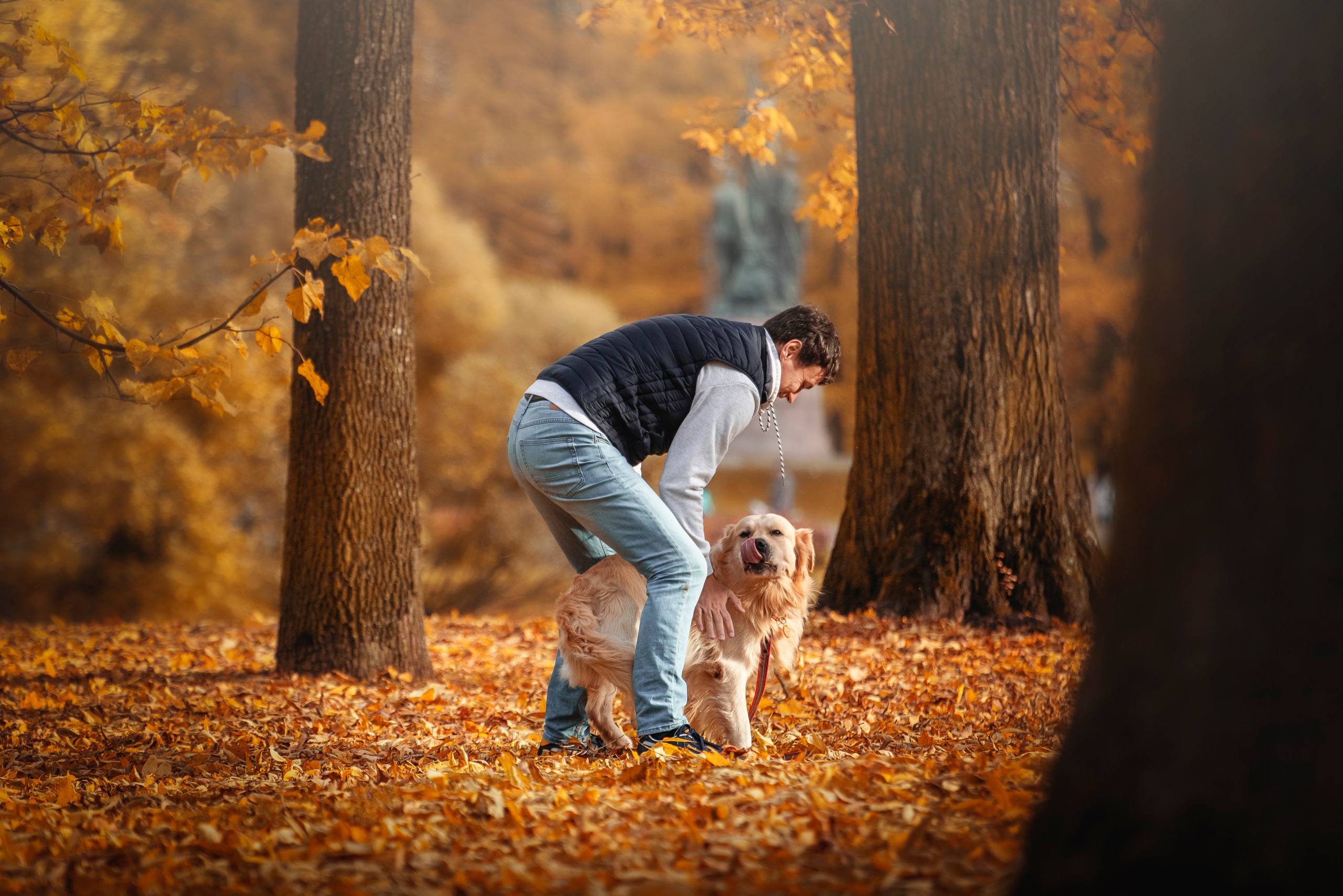Лёвушка и его семья. Фотограф — Анималист | Санкт-Петербург