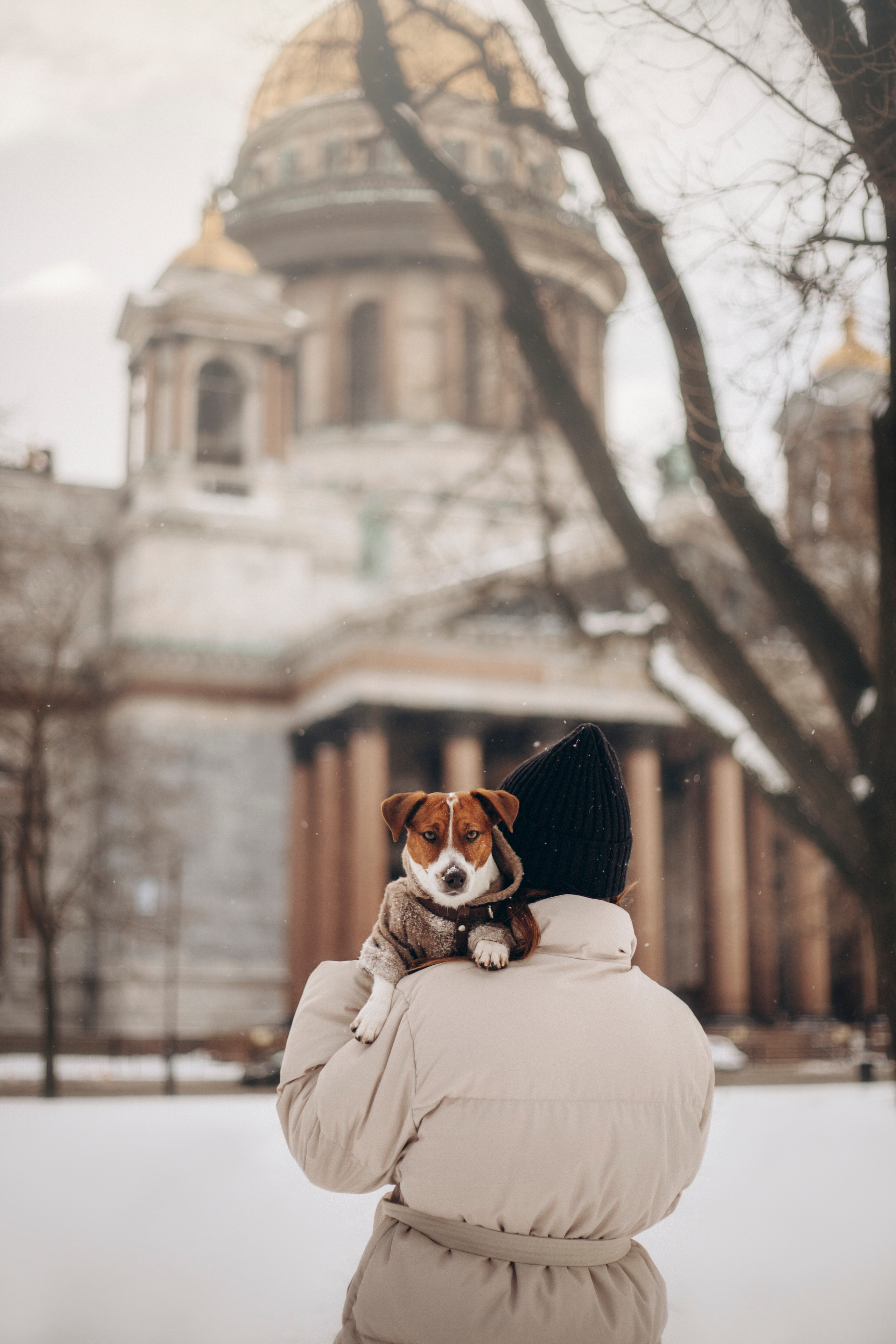 Даша и Бакс. Фотограф — Анималист | Санкт-Петербург