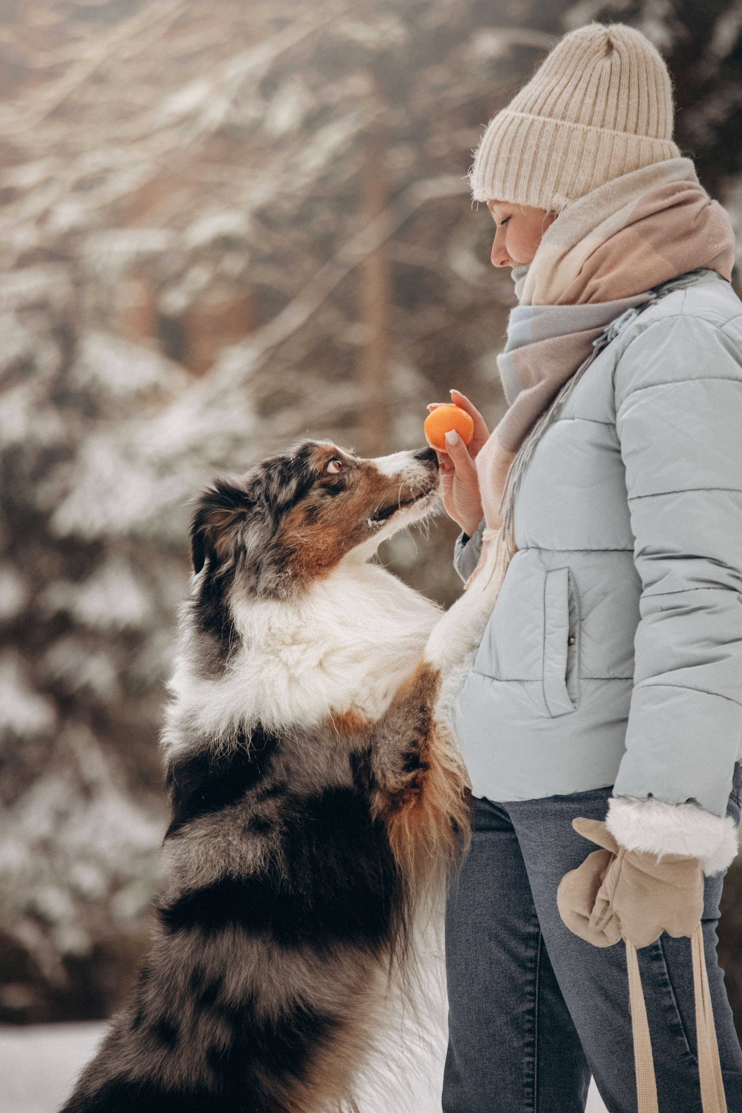 Айк и его семья. Фотограф — Анималист | Санкт-Петербург