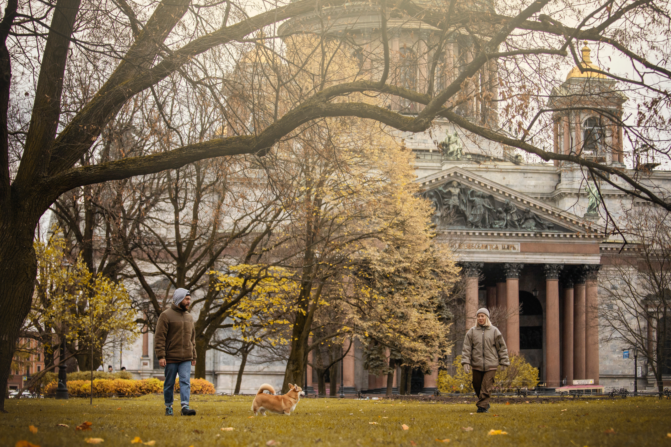Барни и его семья. Фотограф — Анималист | Санкт-Петербург