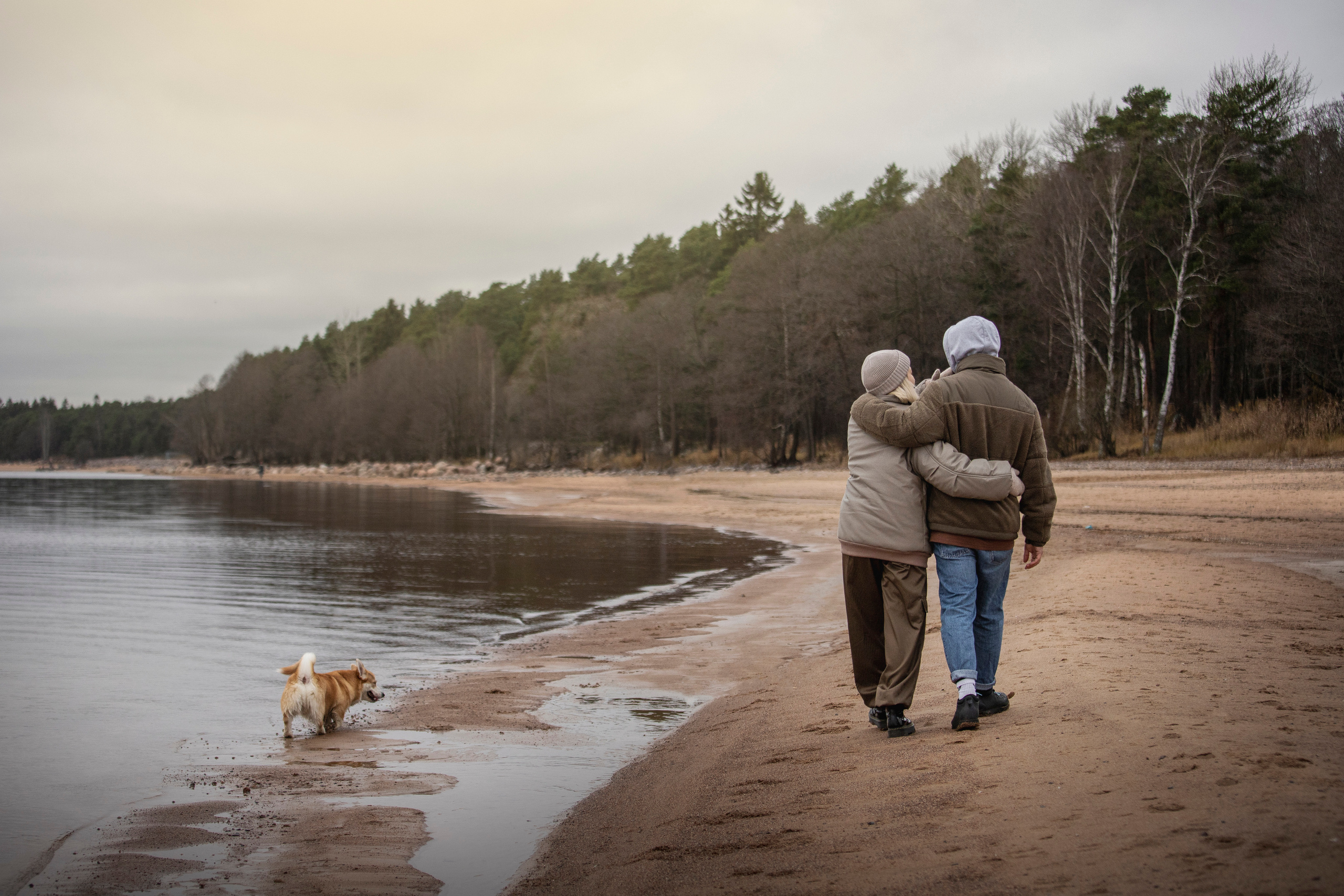 Барни и его семья. Фотограф — Анималист | Санкт-Петербург