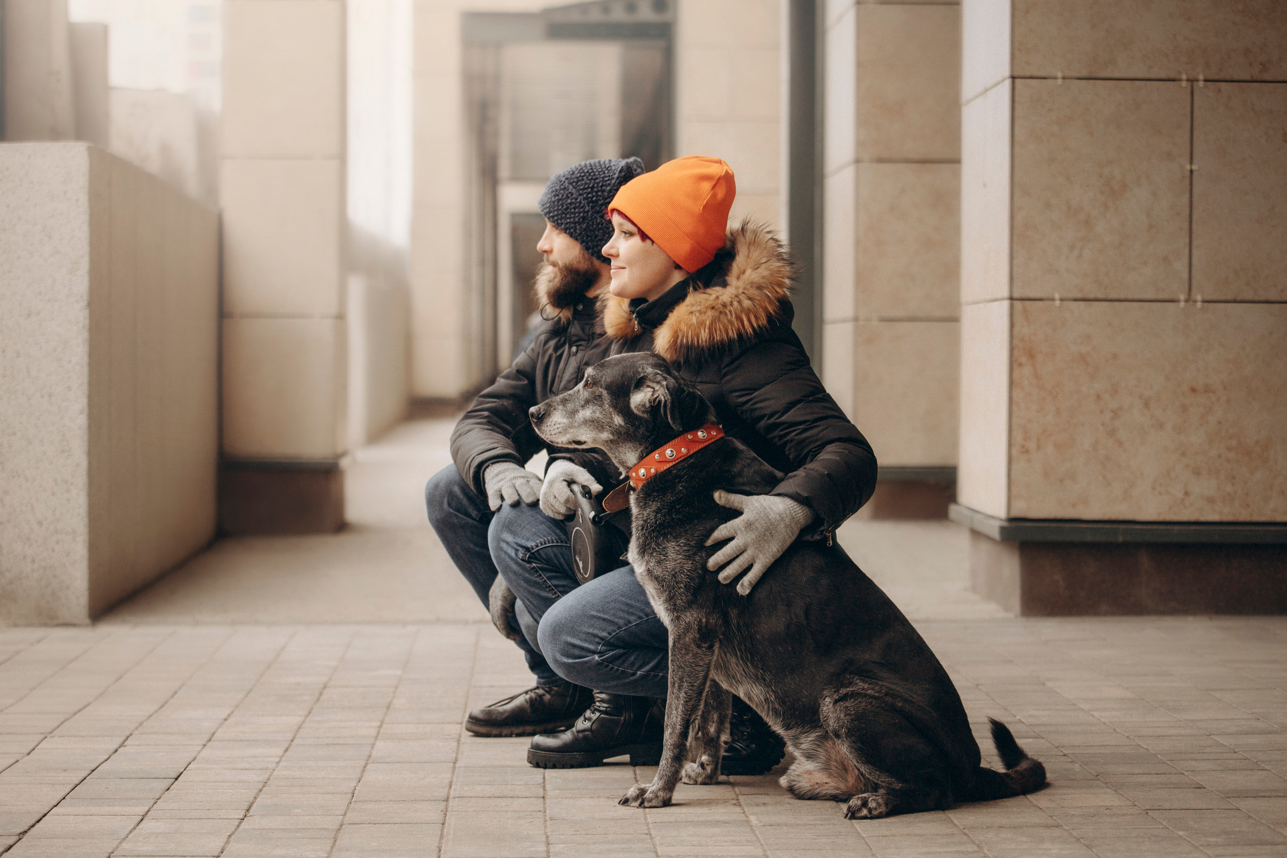 Ангус и его семья. Фотограф — Анималист | Санкт-Петербург
