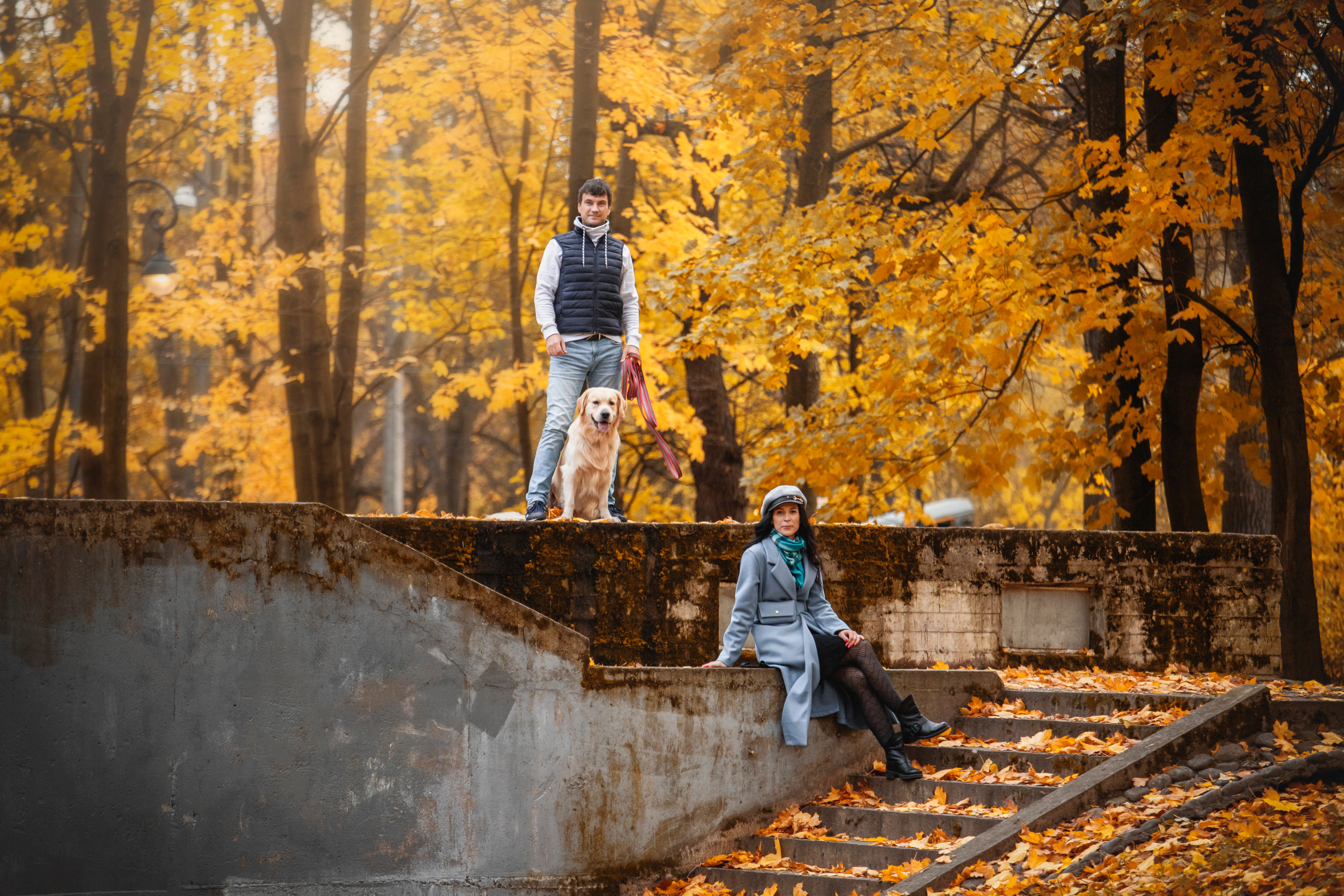 Лёвушка и его семья. Фотограф — Анималист | Санкт-Петербург