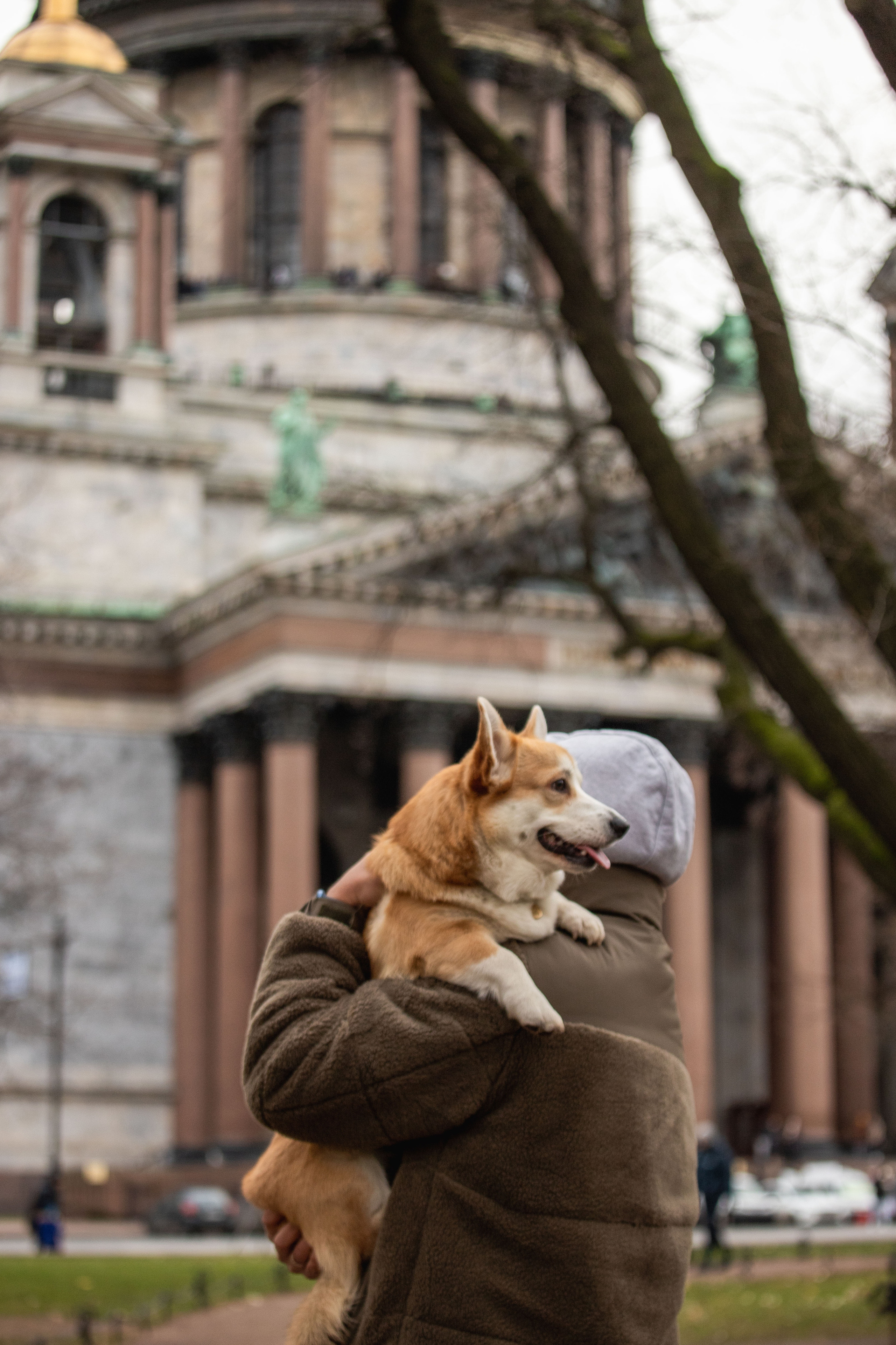 Барни и его семья. Фотограф — Анималист | Санкт-Петербург