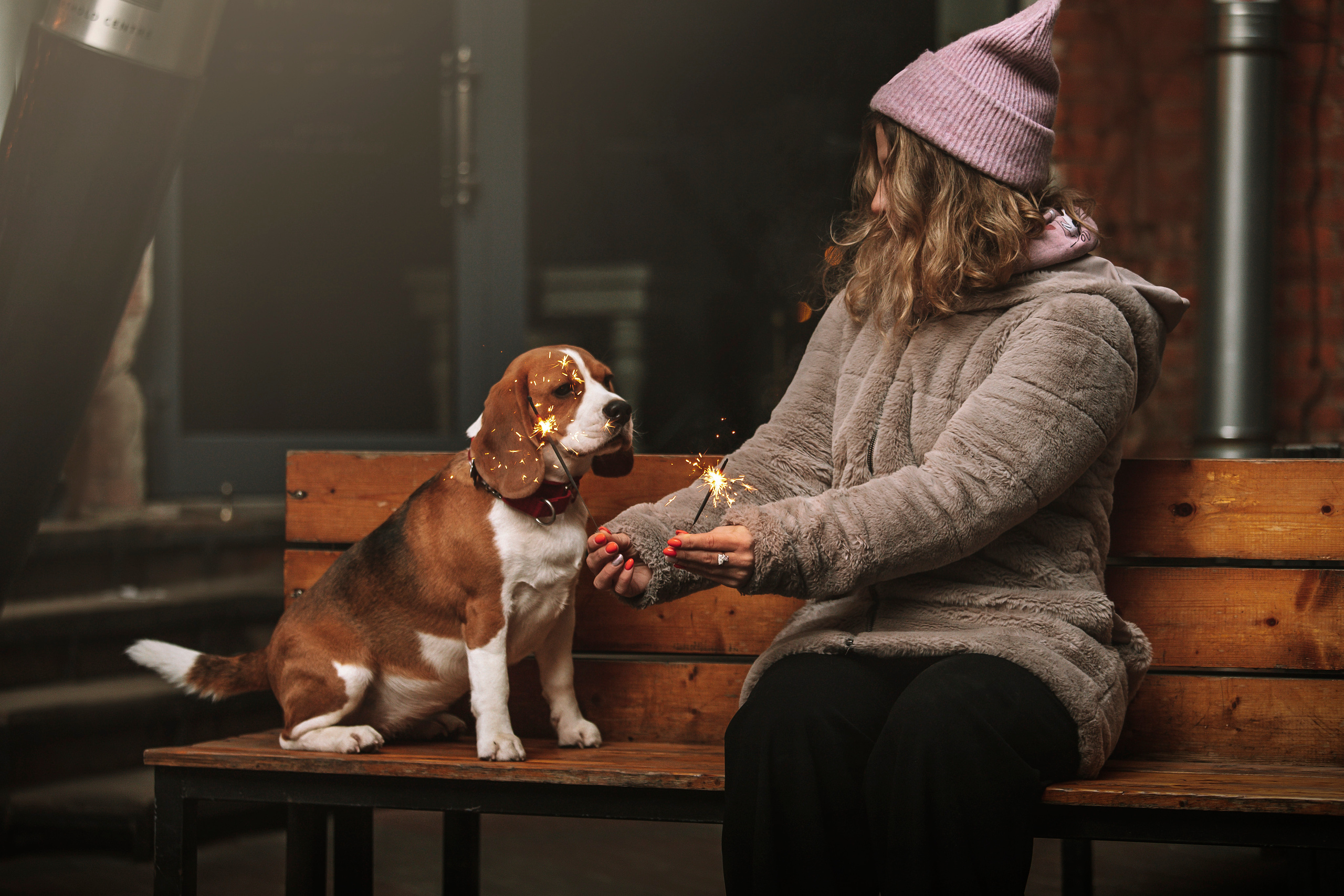 Полина и Бетти. Фотограф — Анималист | Санкт-Петербург