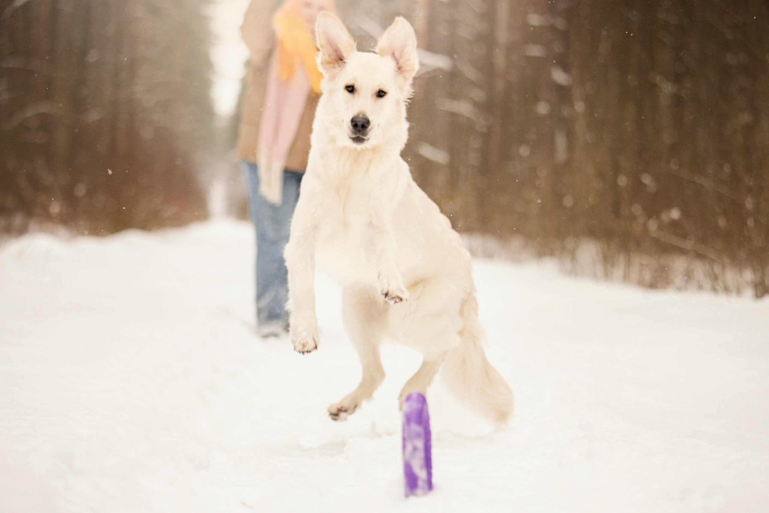 Милка и ее семья. Фотограф — Анималист | Санкт-Петербург
