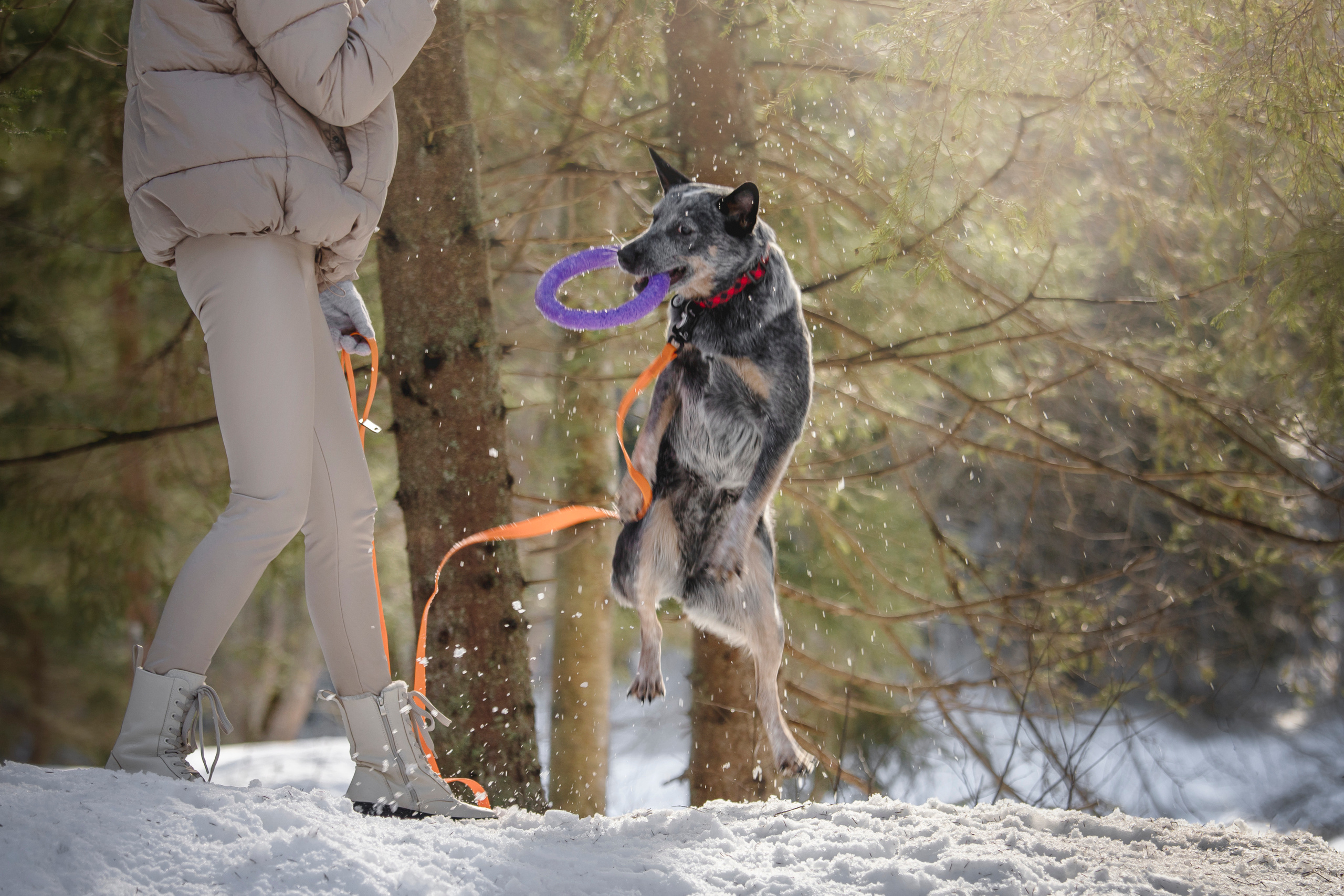 Оля и Мотя. Фотограф — Анималист | Санкт-Петербург