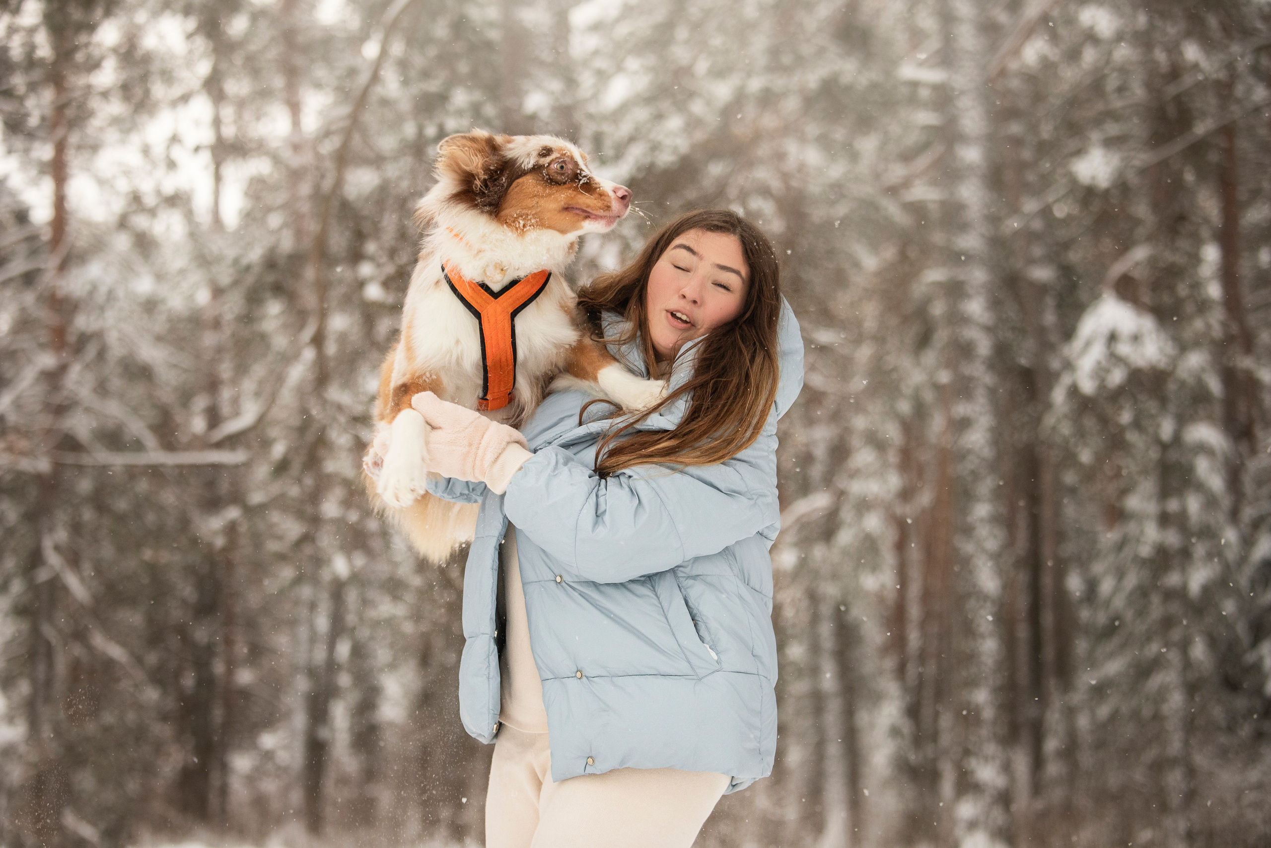 Делик, Скай и их семья. Фотограф — Анималист | Санкт-Петербург