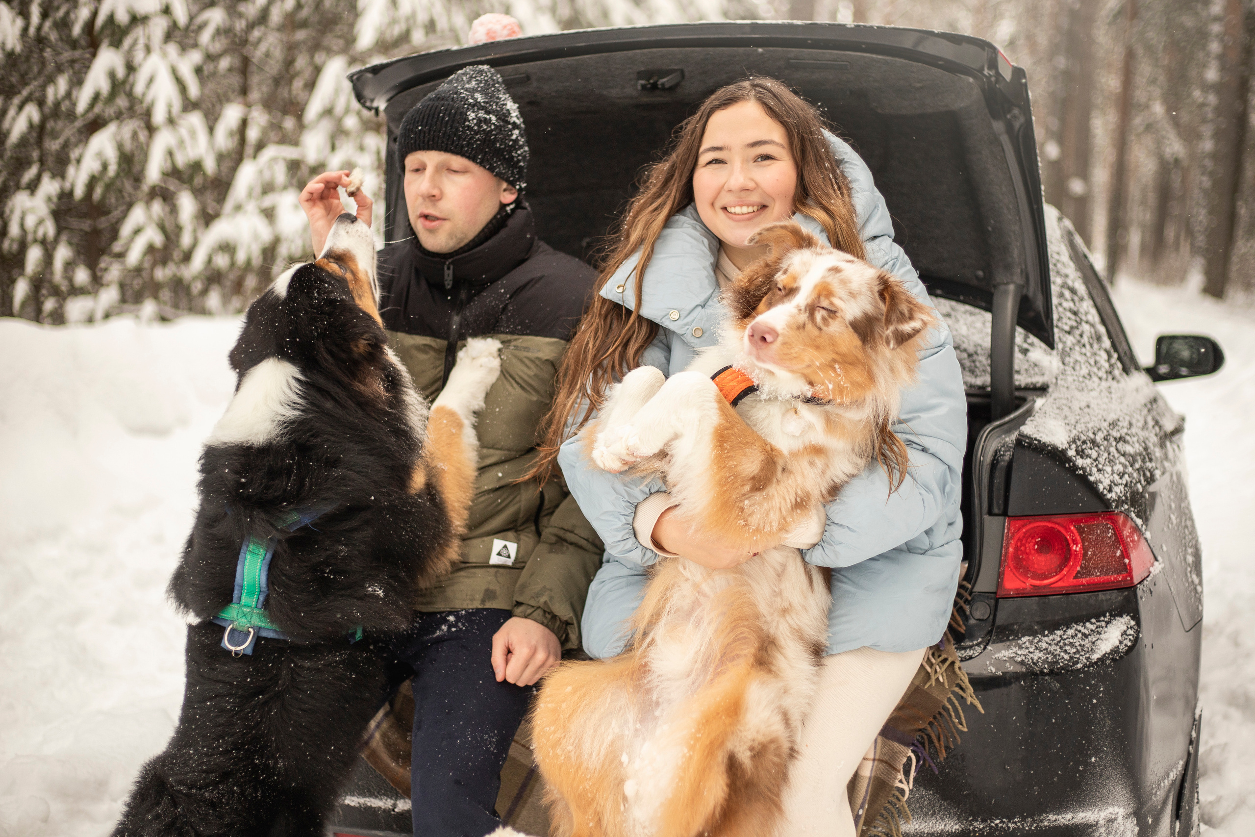Делик, Скай и их семья. Фотограф — Анималист | Санкт-Петербург