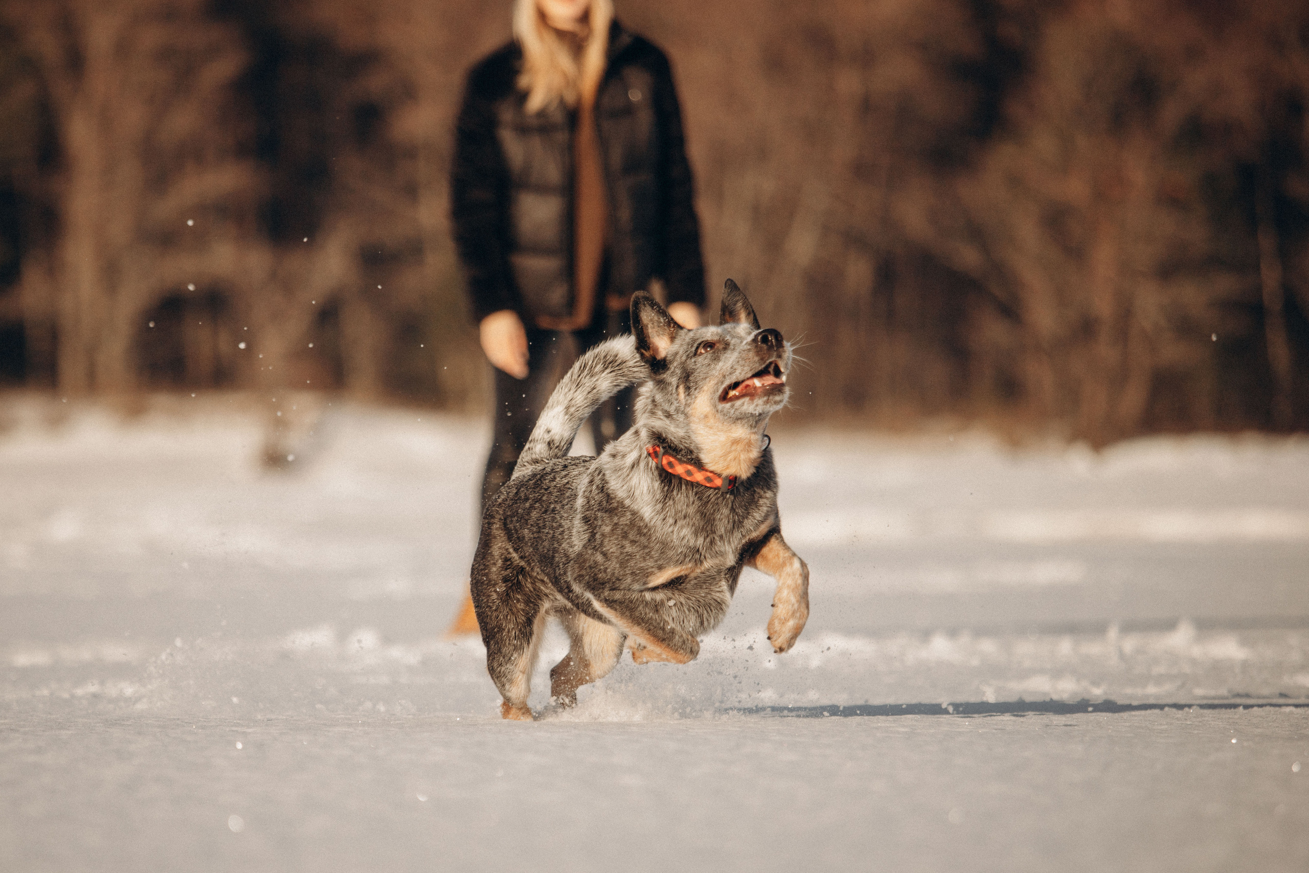Оля и Мотя. Фотограф — Анималист | Санкт-Петербург