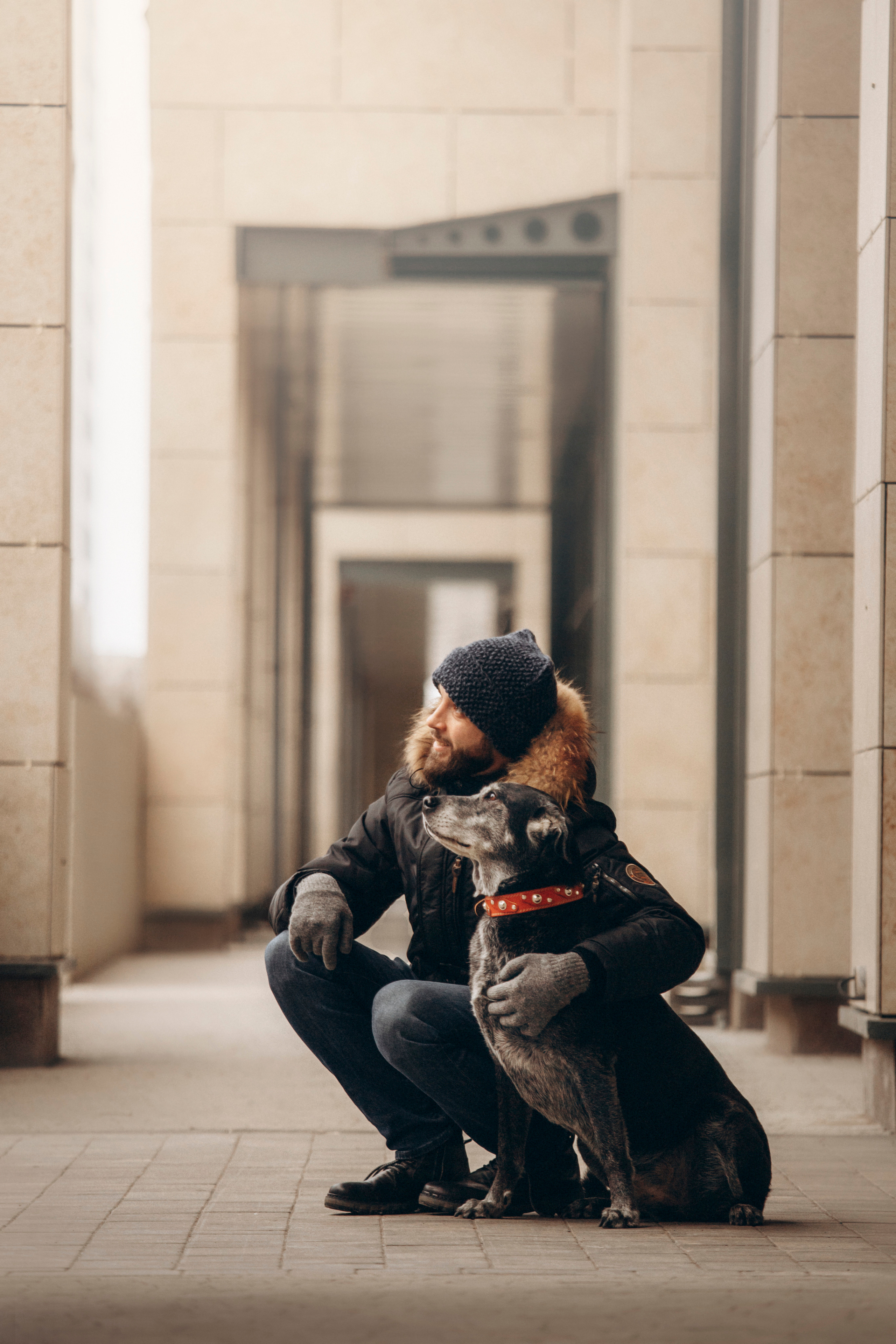 Ангус и его семья. Фотограф — Анималист | Санкт-Петербург