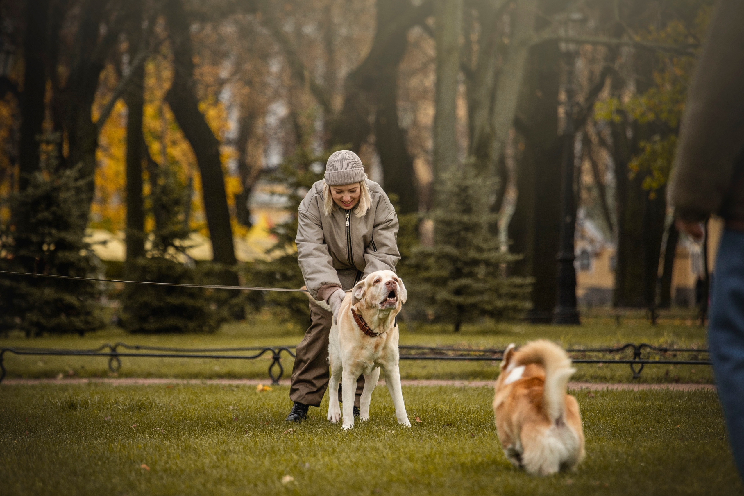 Барни и его семья. Фотограф — Анималист | Санкт-Петербург