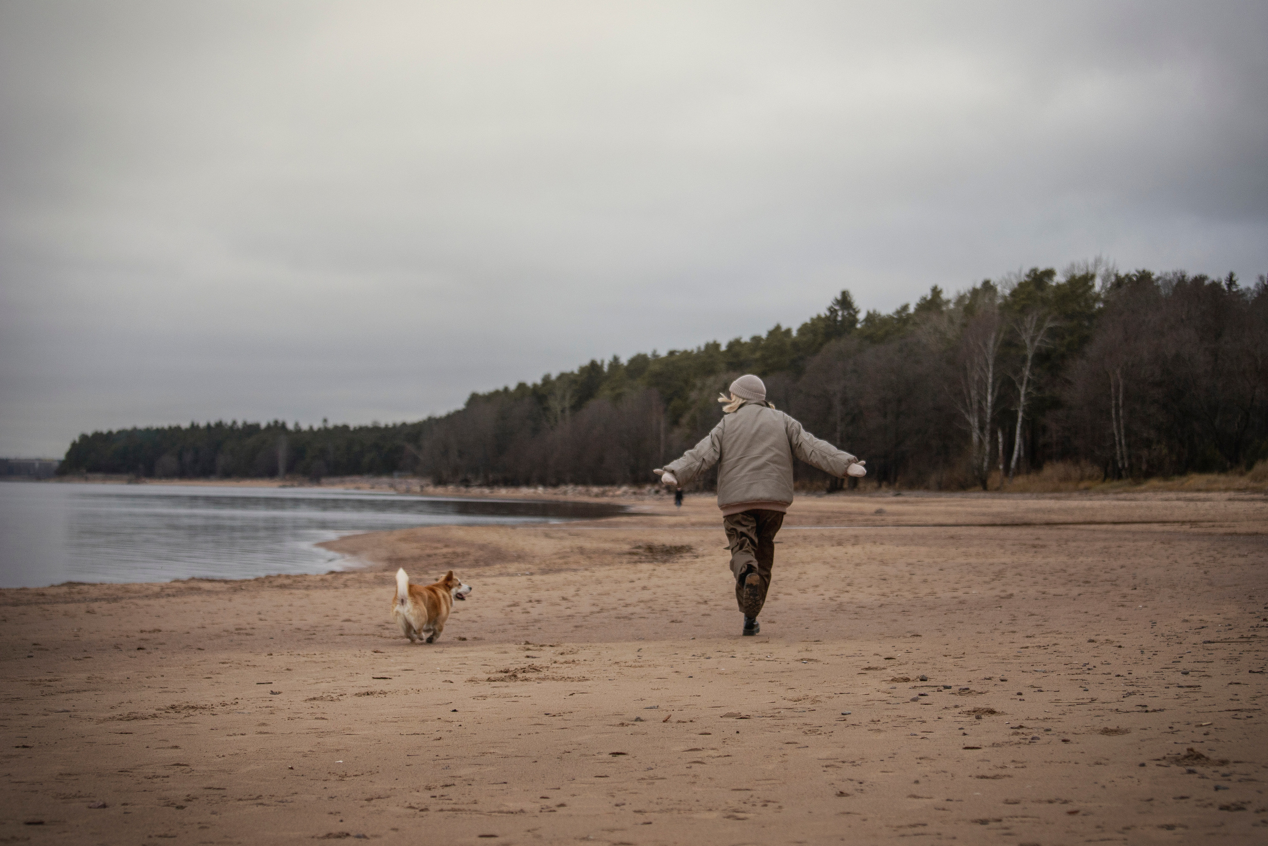 Барни и его семья. Фотограф — Анималист | Санкт-Петербург