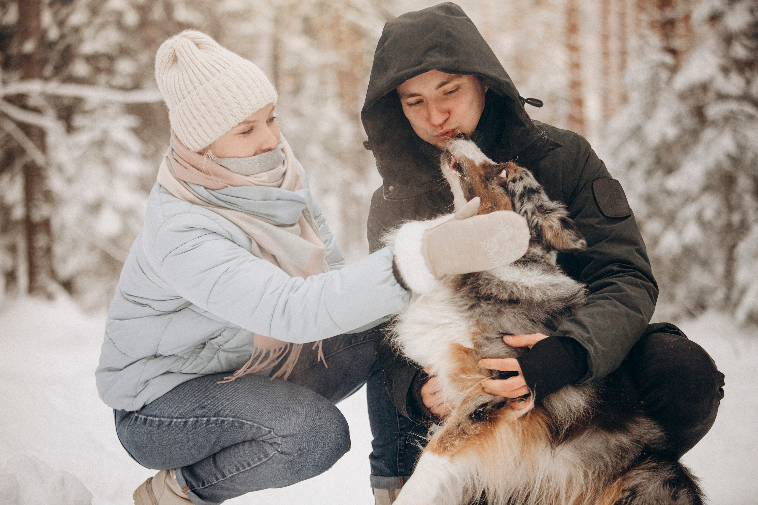Айк и его семья. Фотограф — Анималист | Санкт-Петербург