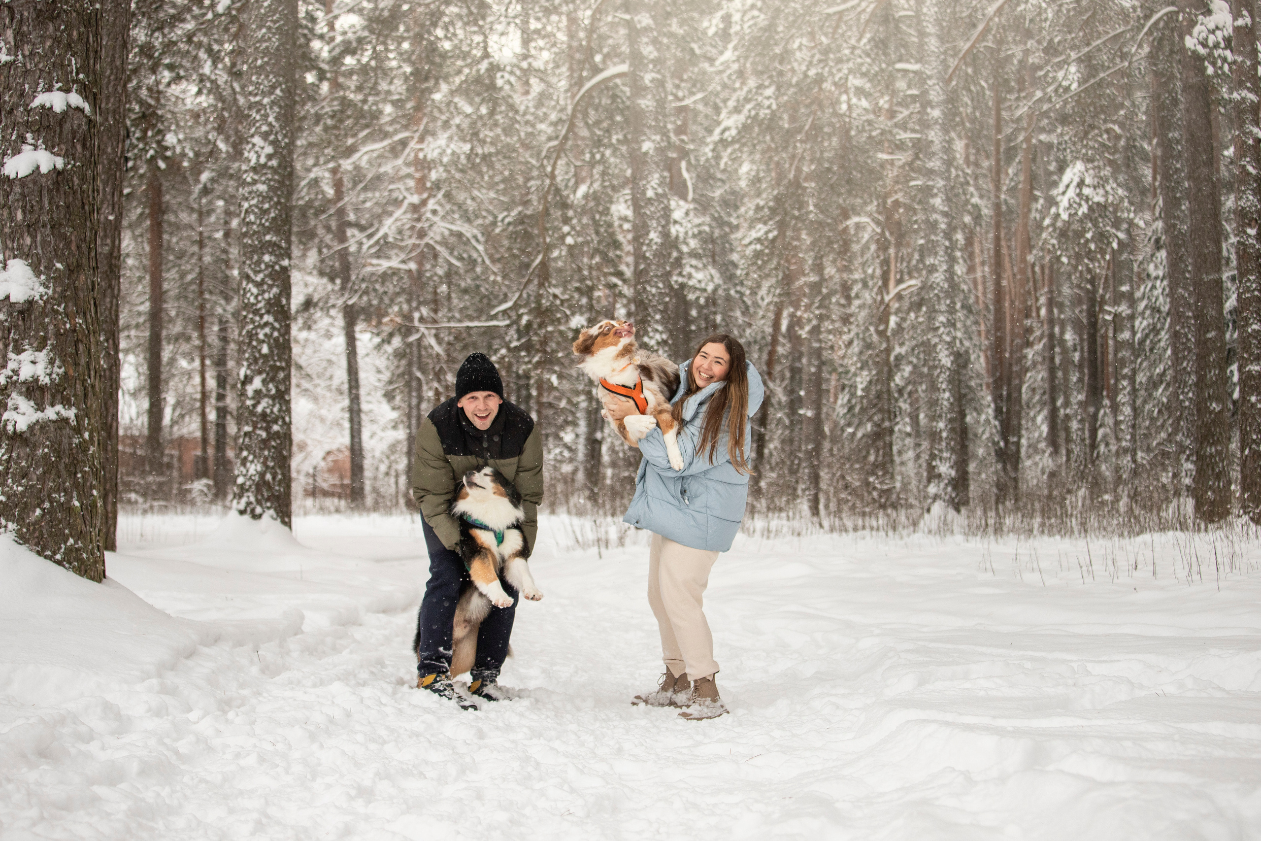 Делик, Скай и их семья. Фотограф — Анималист | Санкт-Петербург