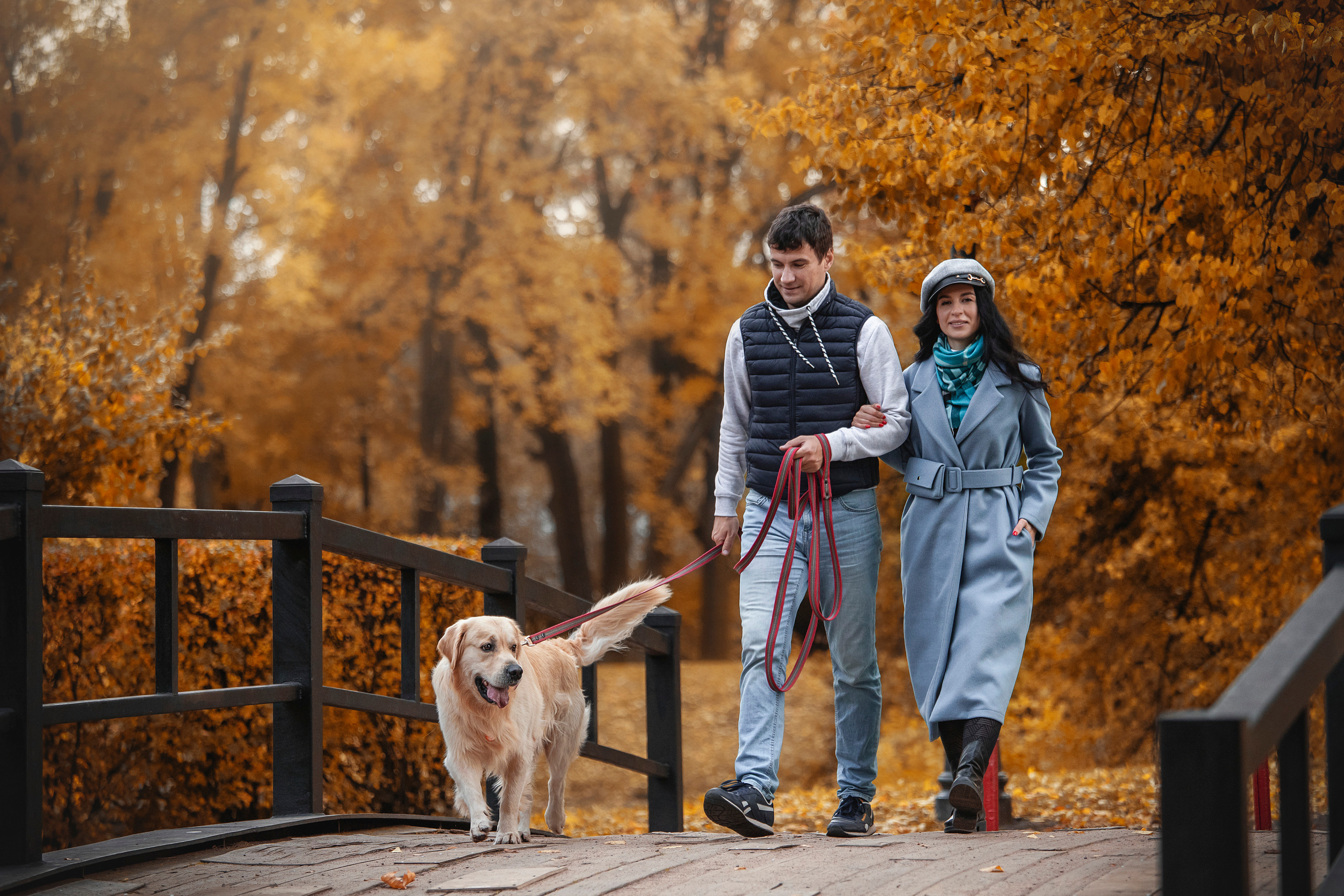 Лёвушка и его семья. Фотограф — Анималист | Санкт-Петербург