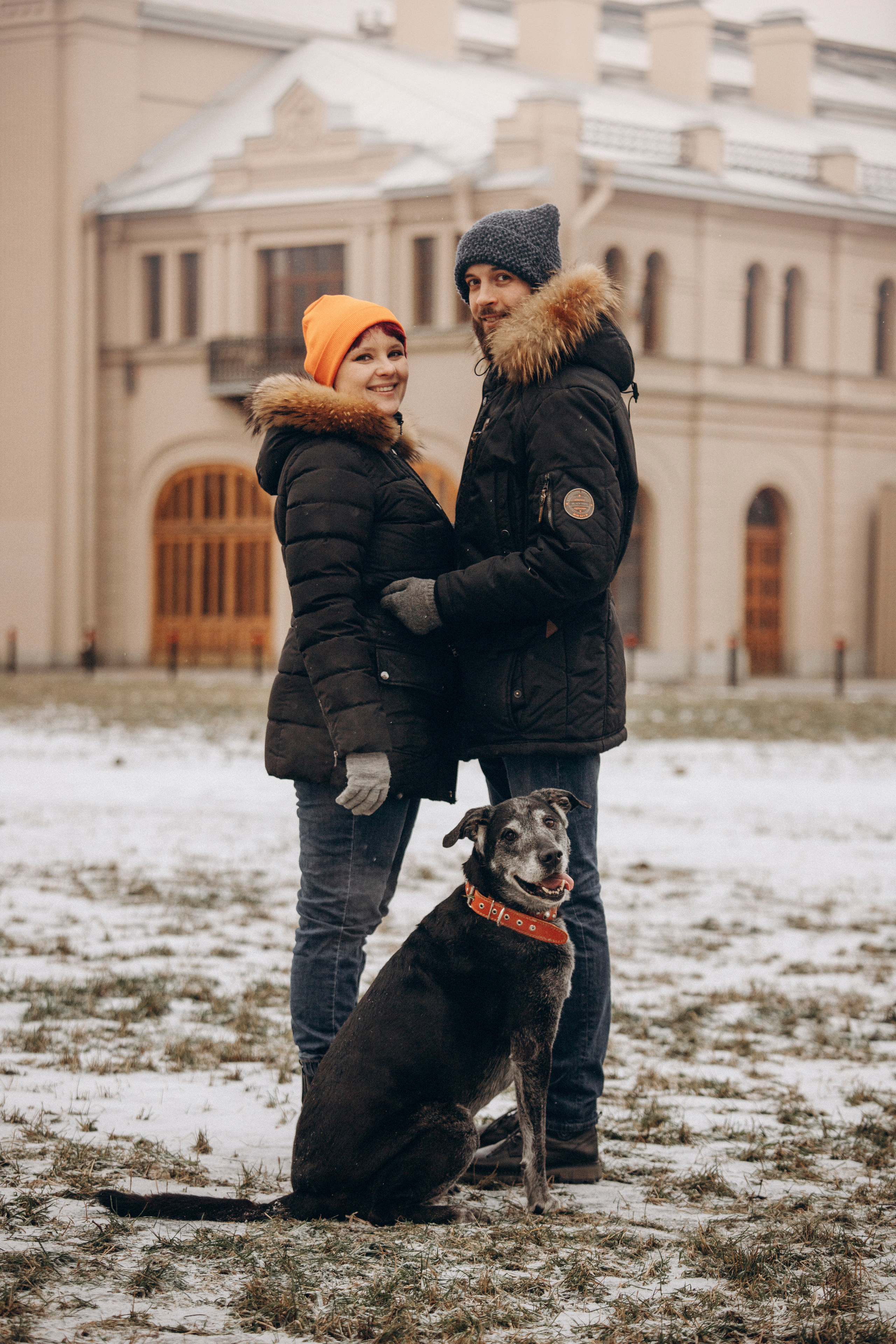 Ангус и его семья. Фотограф — Анималист | Санкт-Петербург
