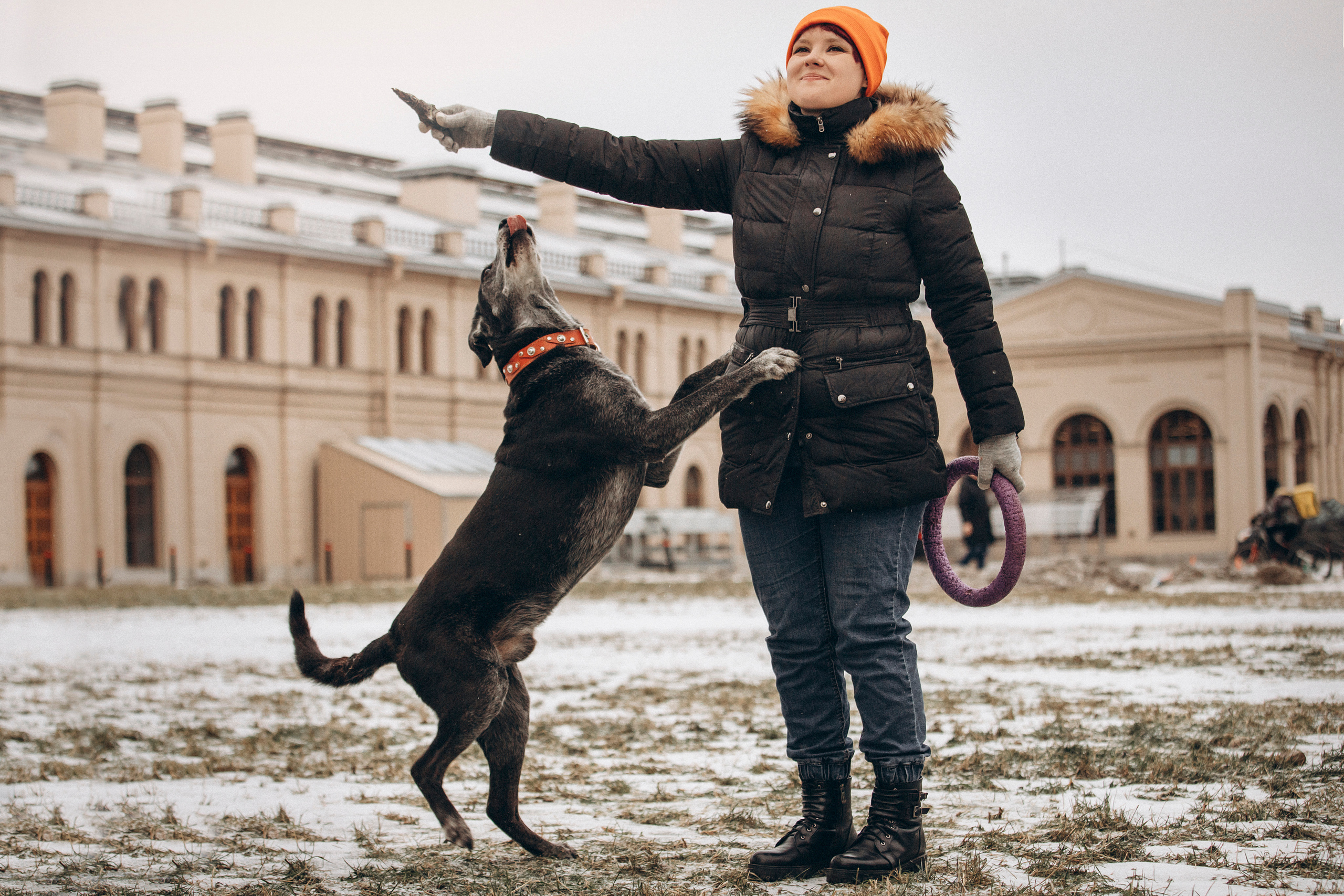 Ангус и его семья. Фотограф — Анималист | Санкт-Петербург