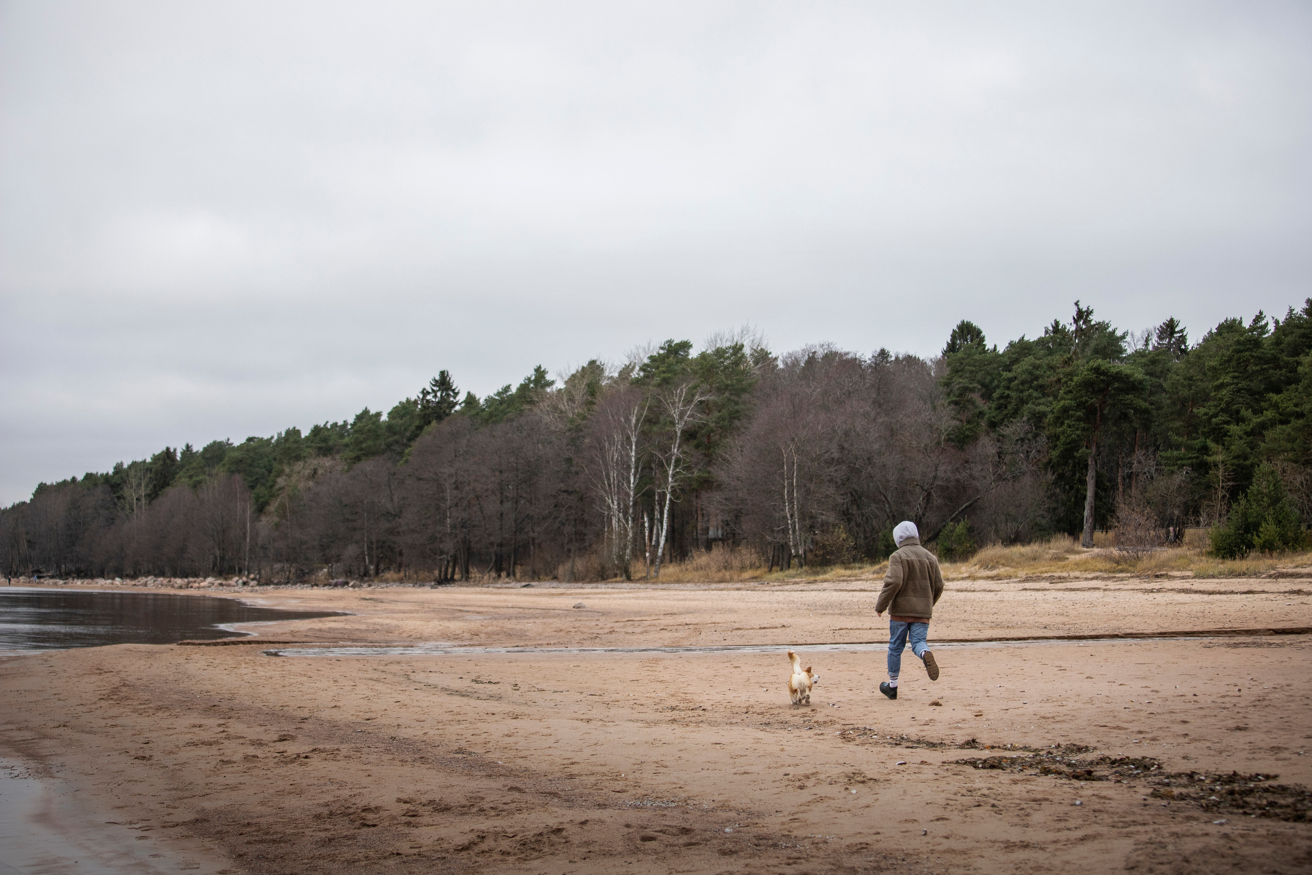 Барни и его семья. Фотограф — Анималист | Санкт-Петербург