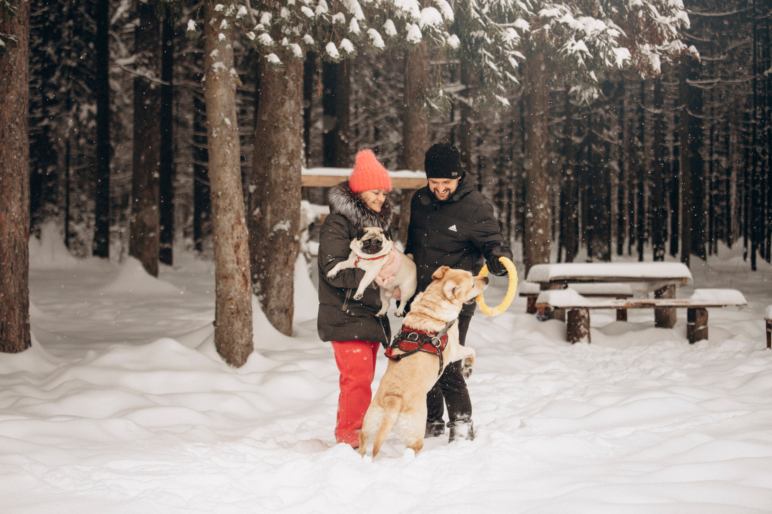 Марго, Степа и их семья. Фотограф — Анималист | Санкт-Петербург
