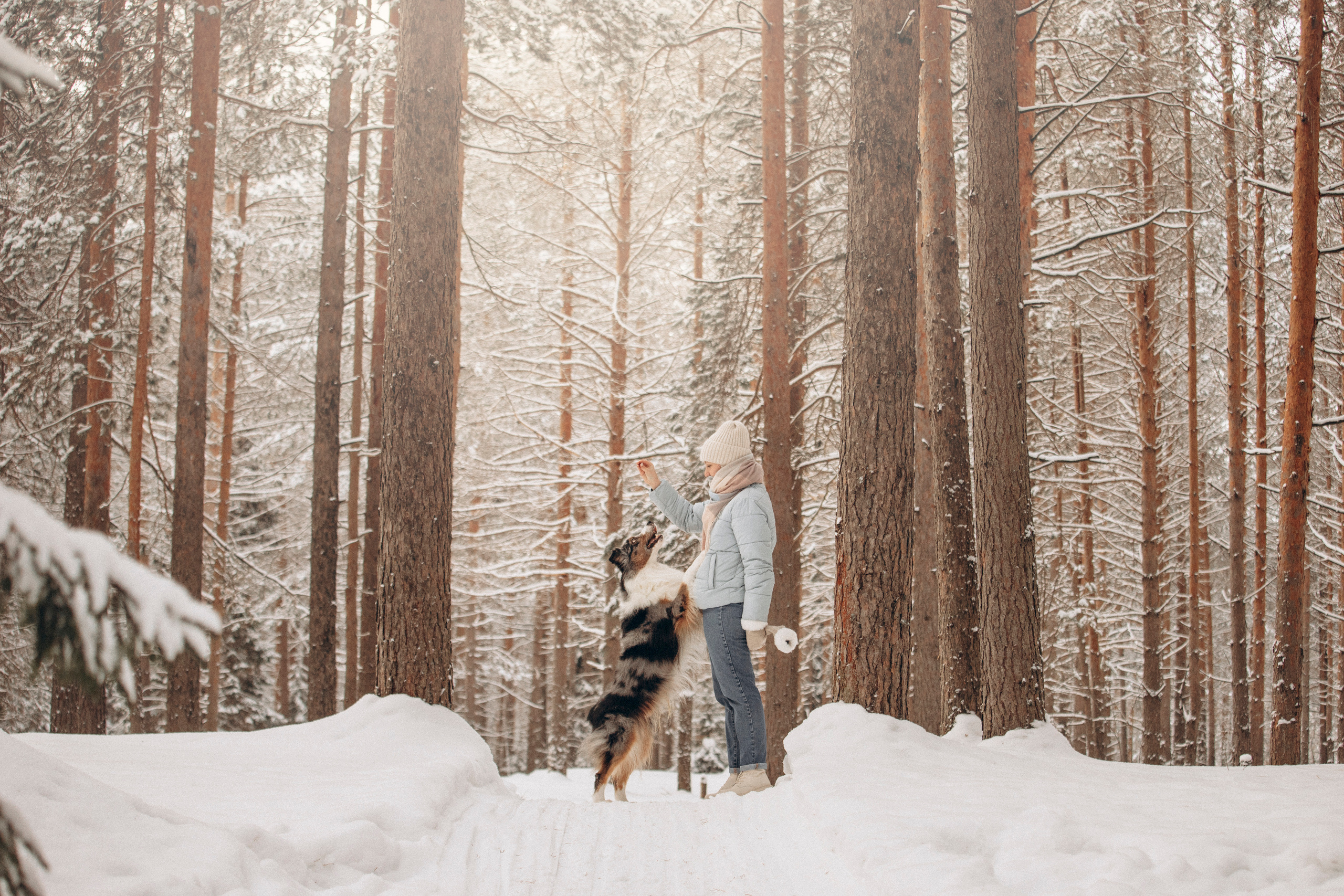 Айк и его семья. Фотограф — Анималист | Санкт-Петербург