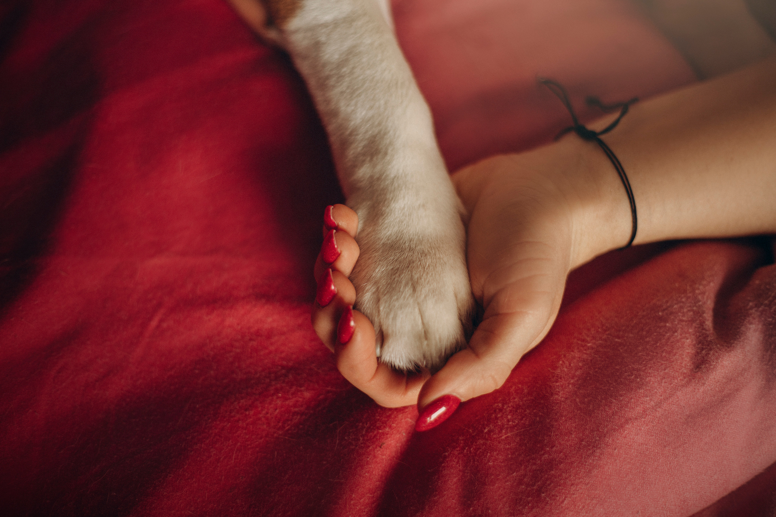 Полина и Бетти. Фотограф — Анималист | Санкт-Петербург