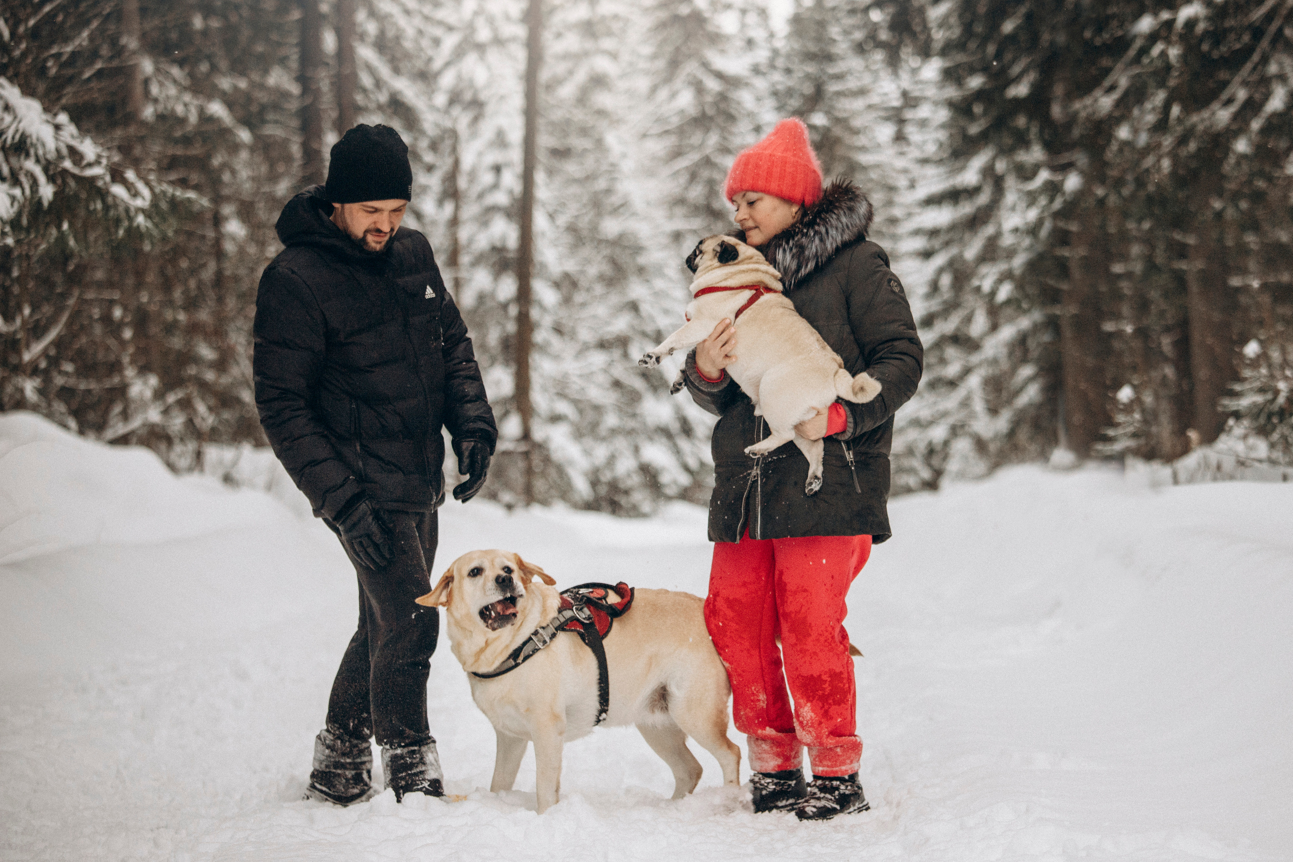 Марго, Степа и их семья. Фотограф — Анималист | Санкт-Петербург