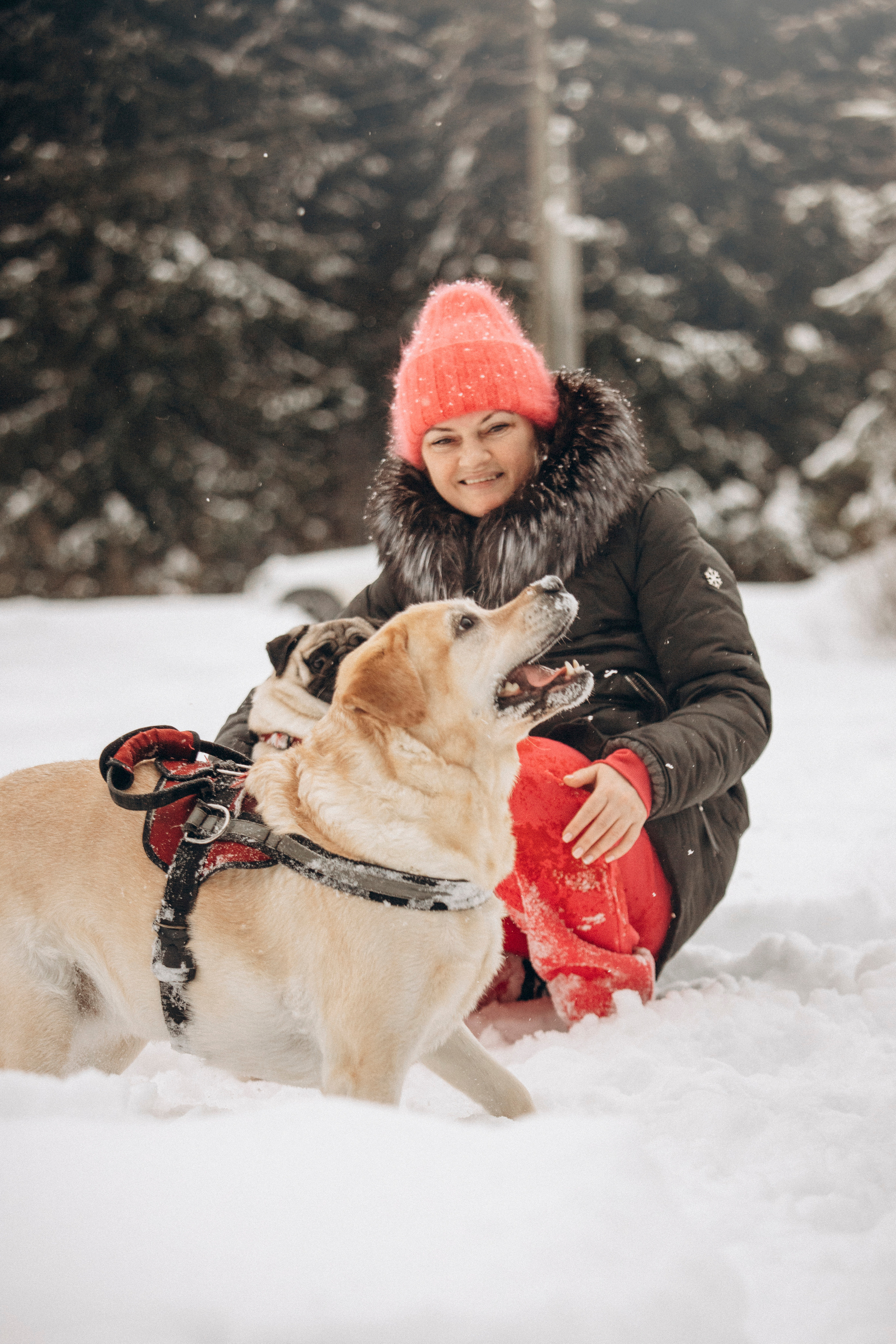 Марго, Степа и их семья. Фотограф — Анималист | Санкт-Петербург