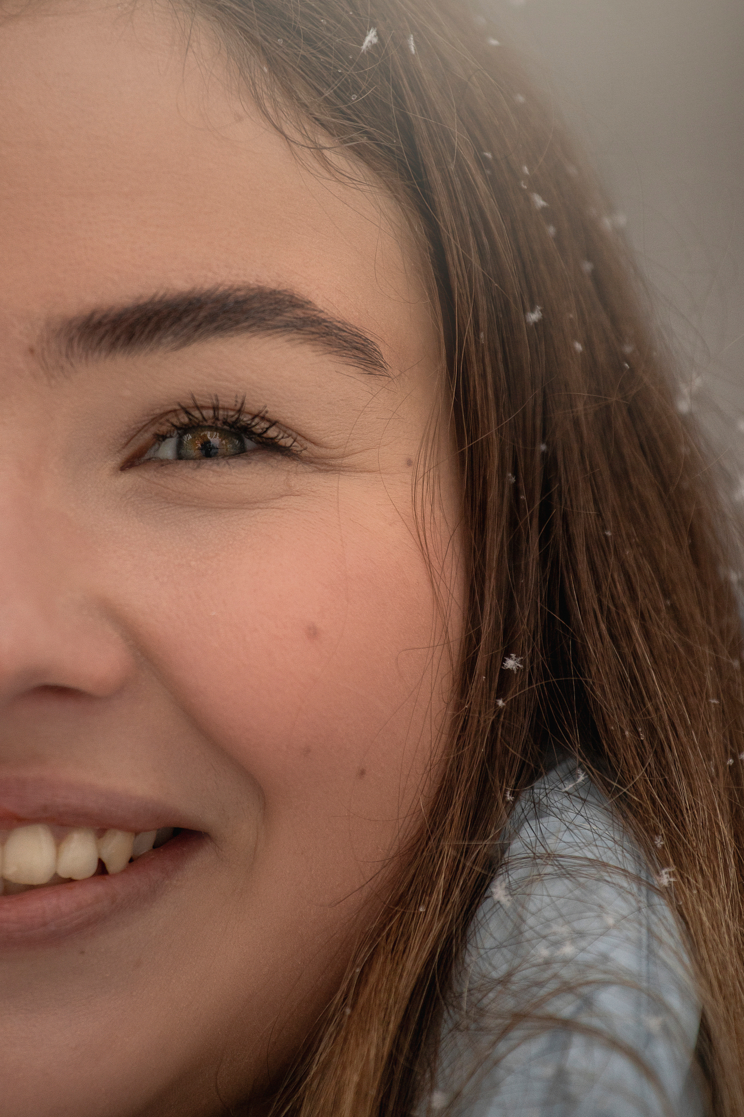 Делик, Скай и их семья. Фотограф — Анималист | Санкт-Петербург