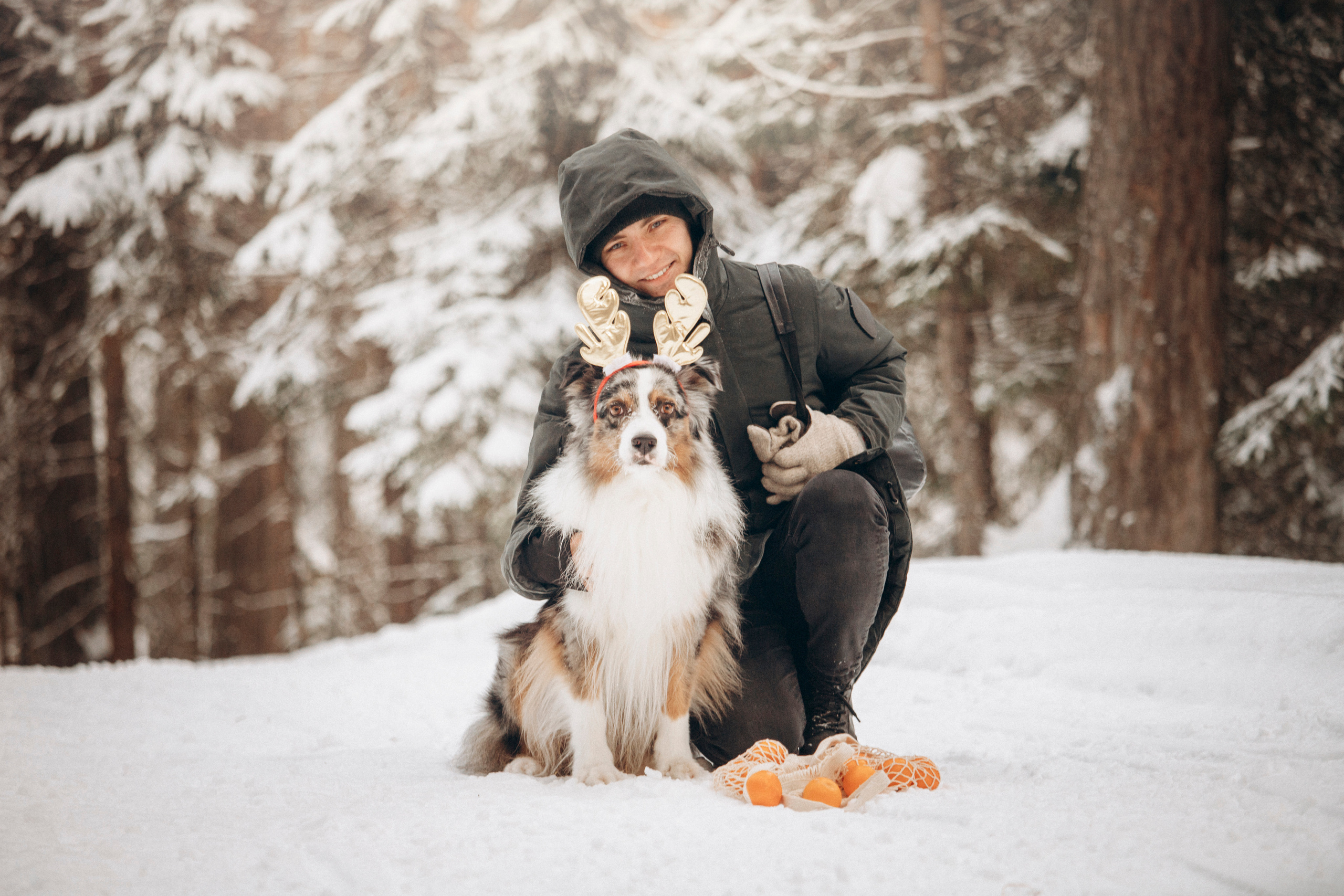 Айк и его семья. Фотограф — Анималист | Санкт-Петербург