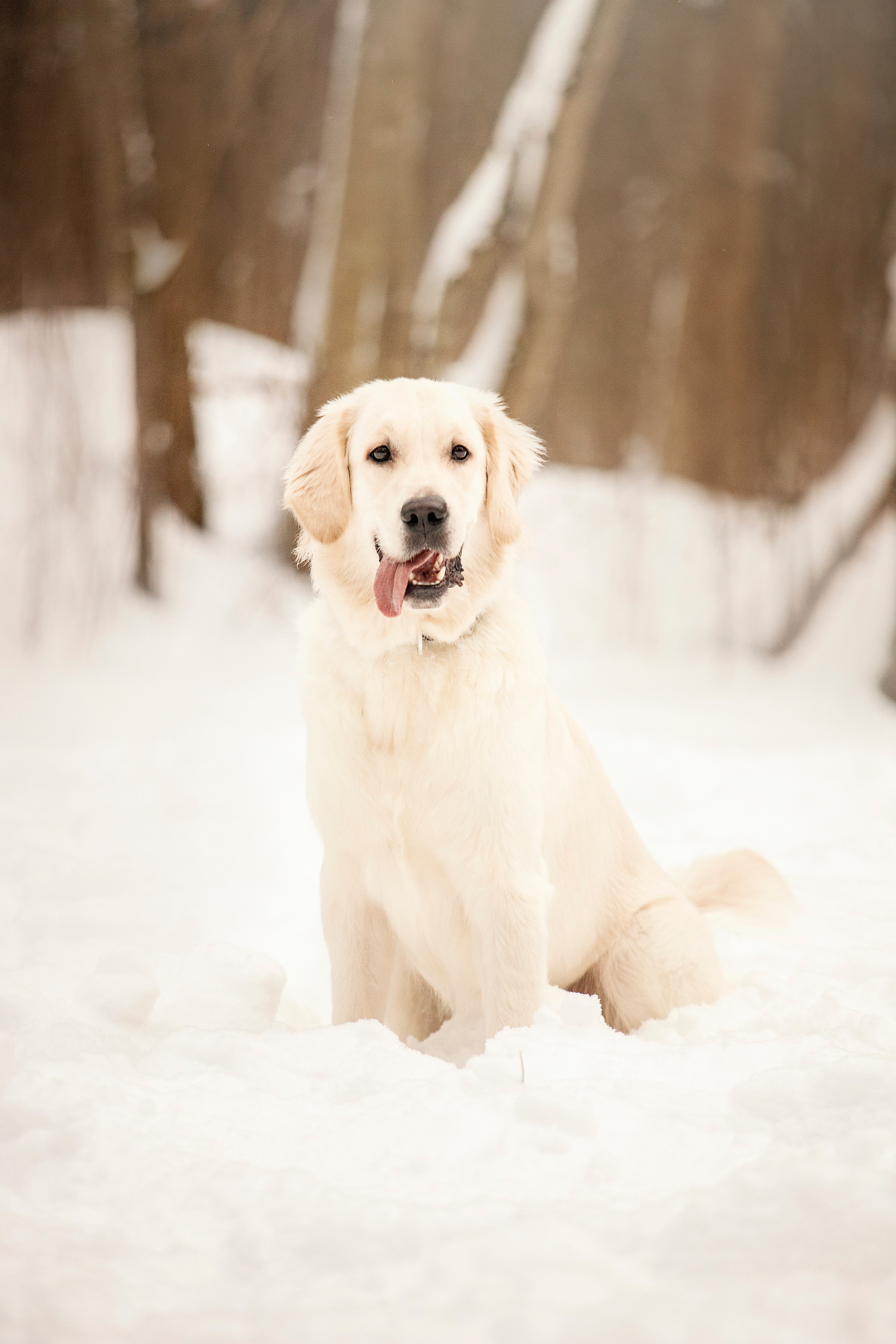 Милка и ее семья. Фотограф — Анималист | Санкт-Петербург