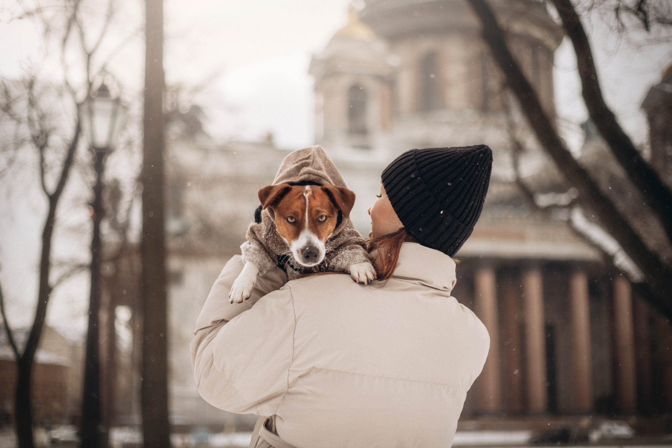 Даша и Бакс. Фотограф — Анималист | Санкт-Петербург