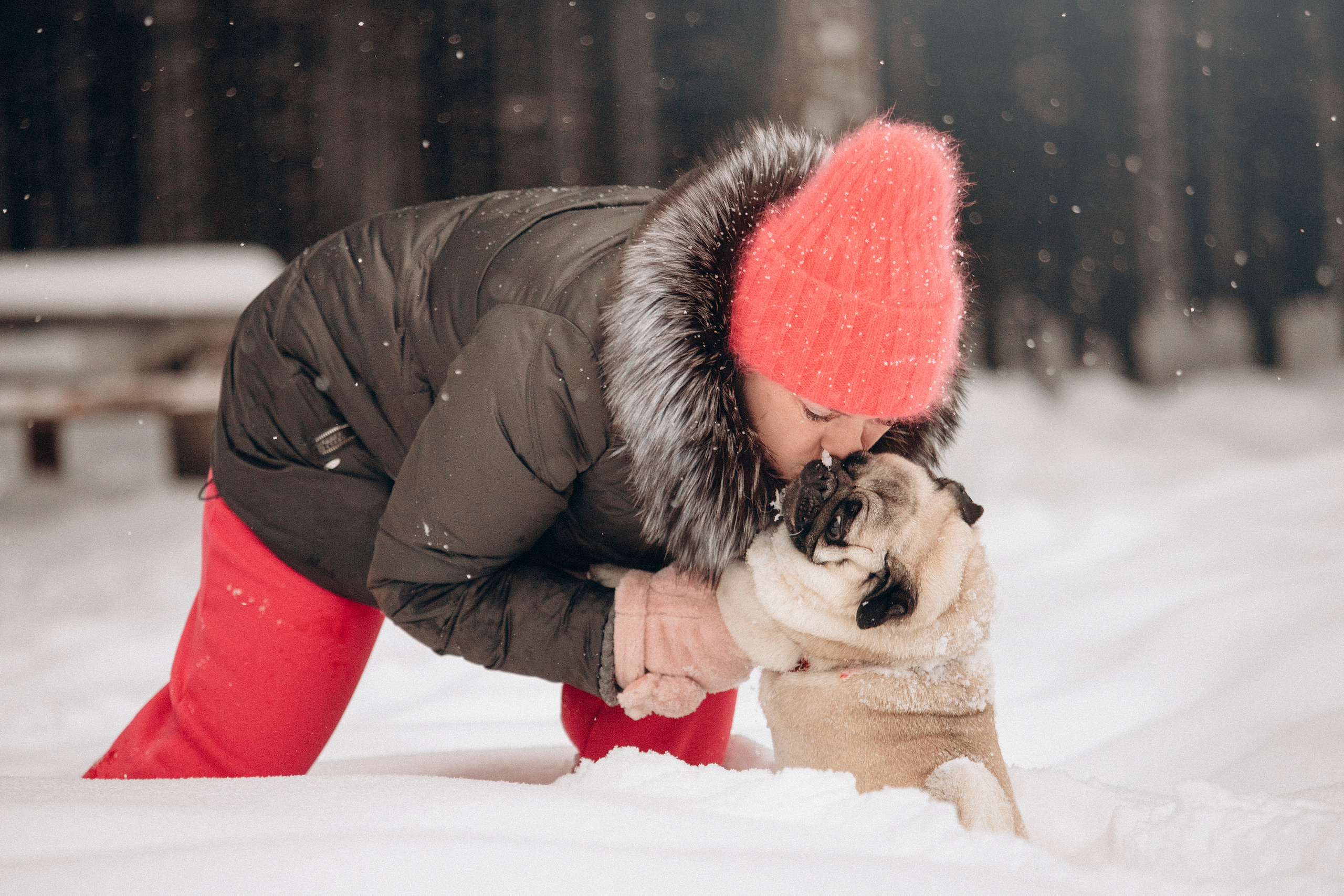 Марго, Степа и их семья. Фотограф — Анималист | Санкт-Петербург