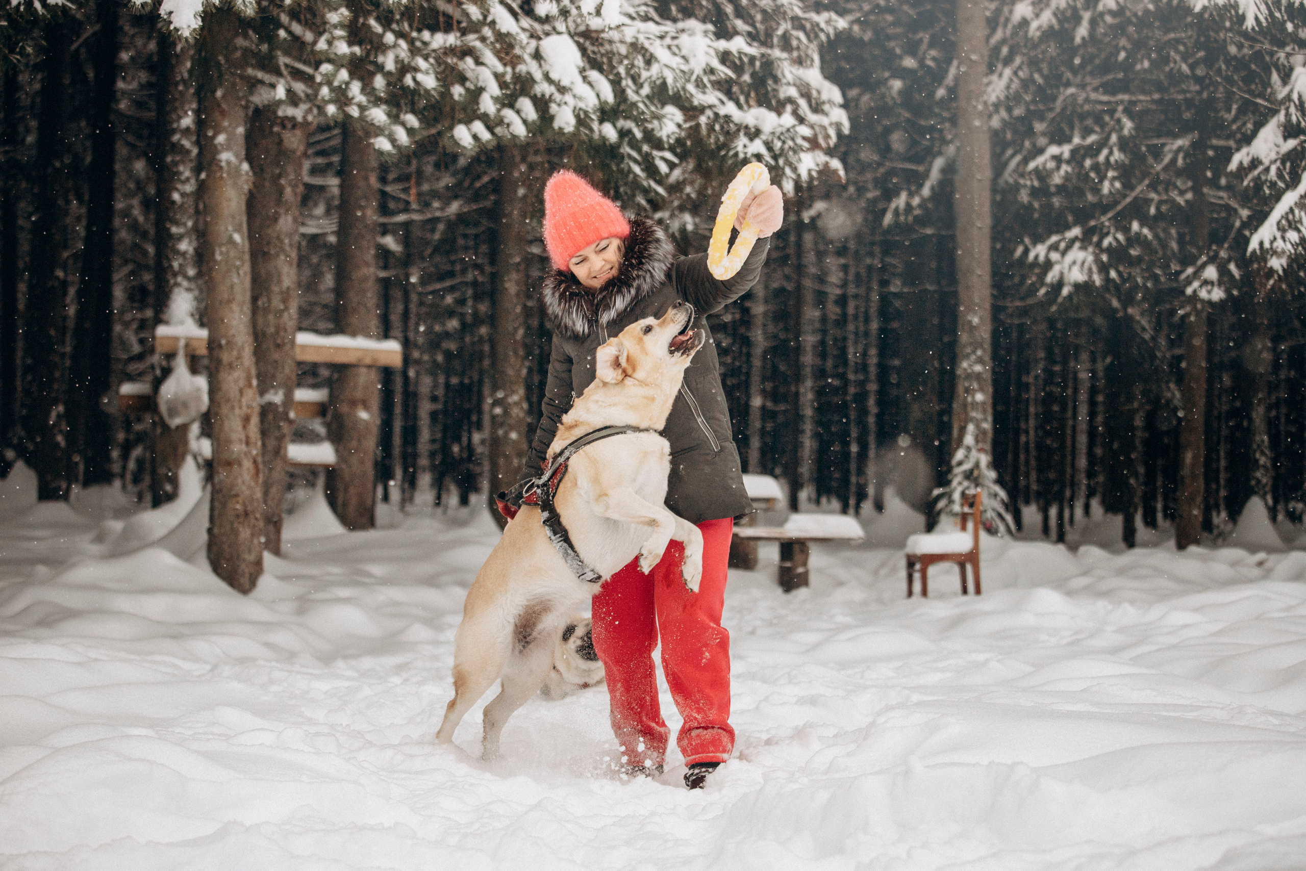 Марго, Степа и их семья. Фотограф — Анималист | Санкт-Петербург