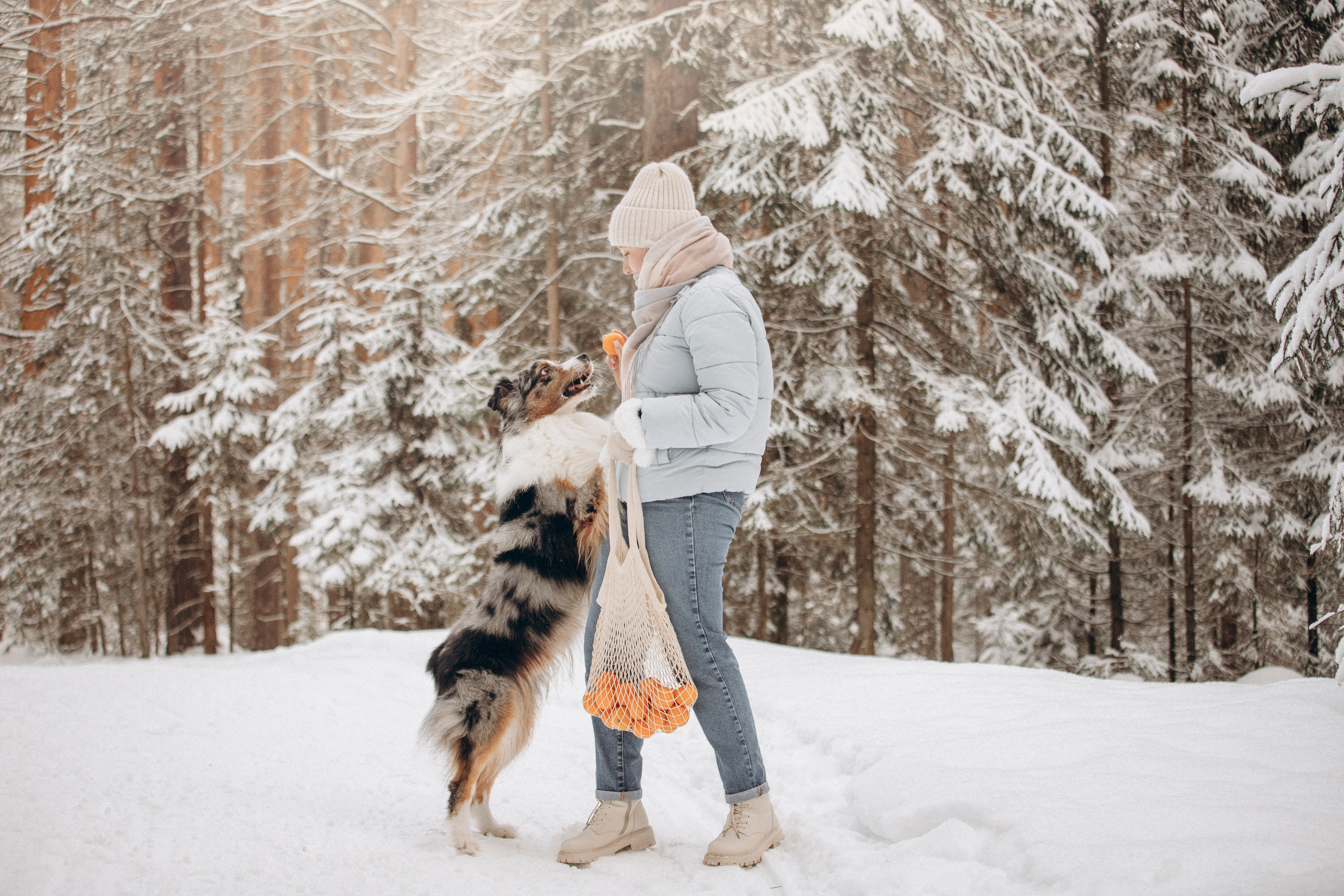 Айк и его семья. Фотограф — Анималист | Санкт-Петербург