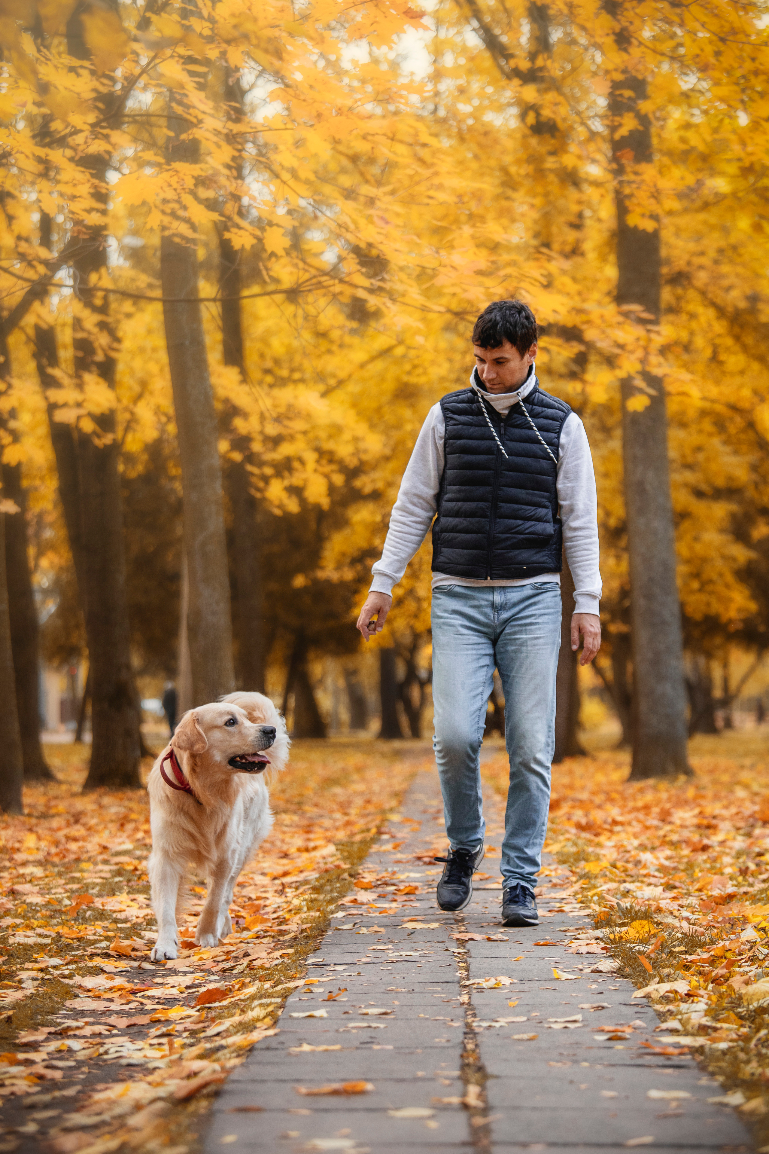 Лёвушка и его семья. Фотограф — Анималист | Санкт-Петербург