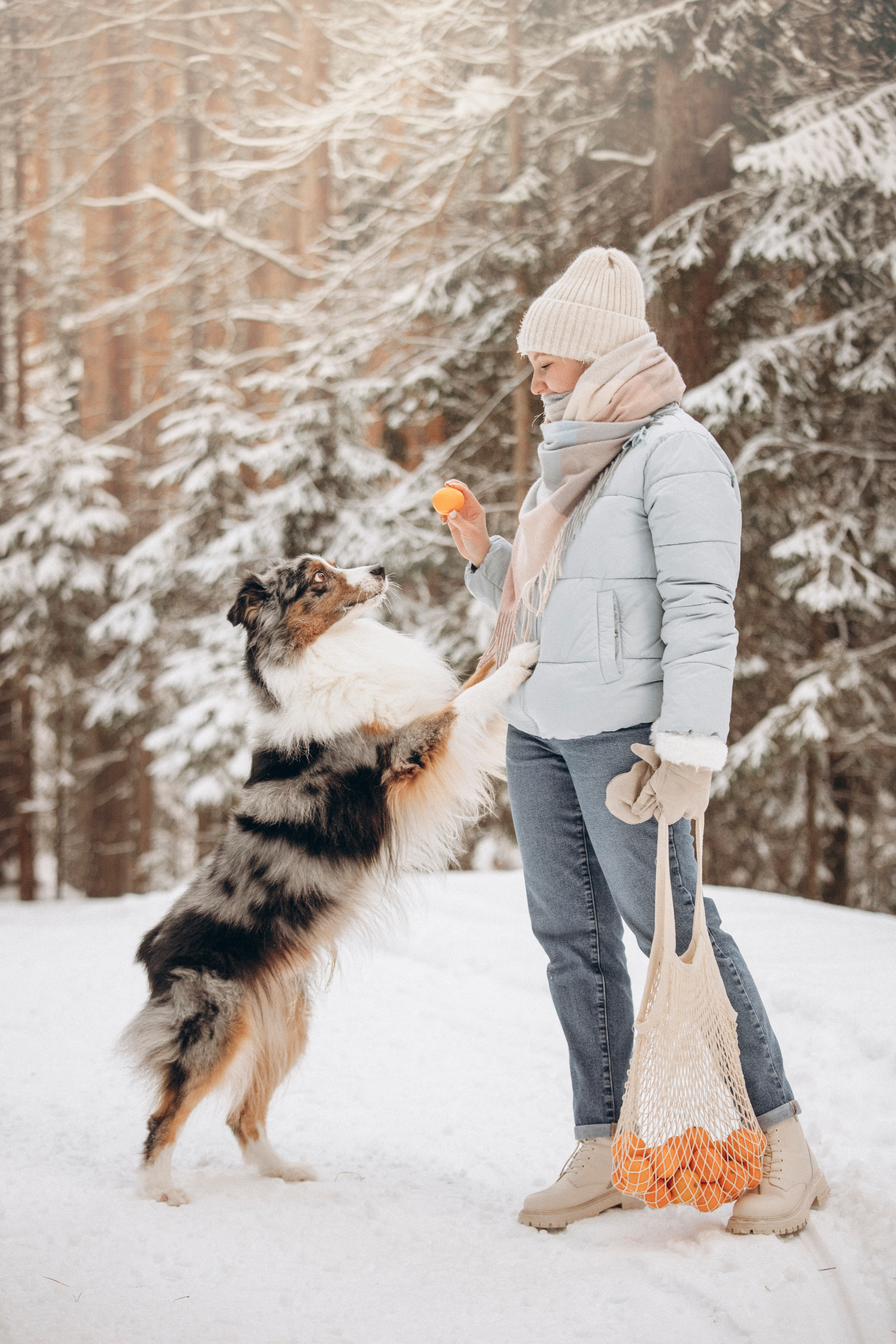 Айк и его семья. Фотограф — Анималист | Санкт-Петербург