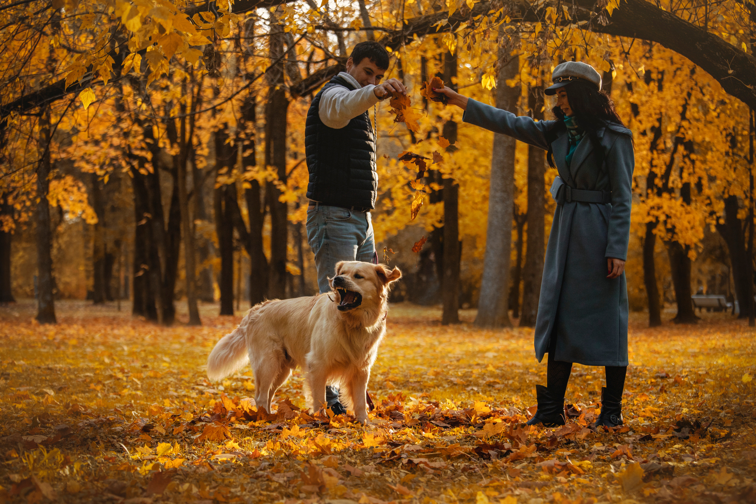 Лёвушка и его семья. Фотограф — Анималист | Санкт-Петербург