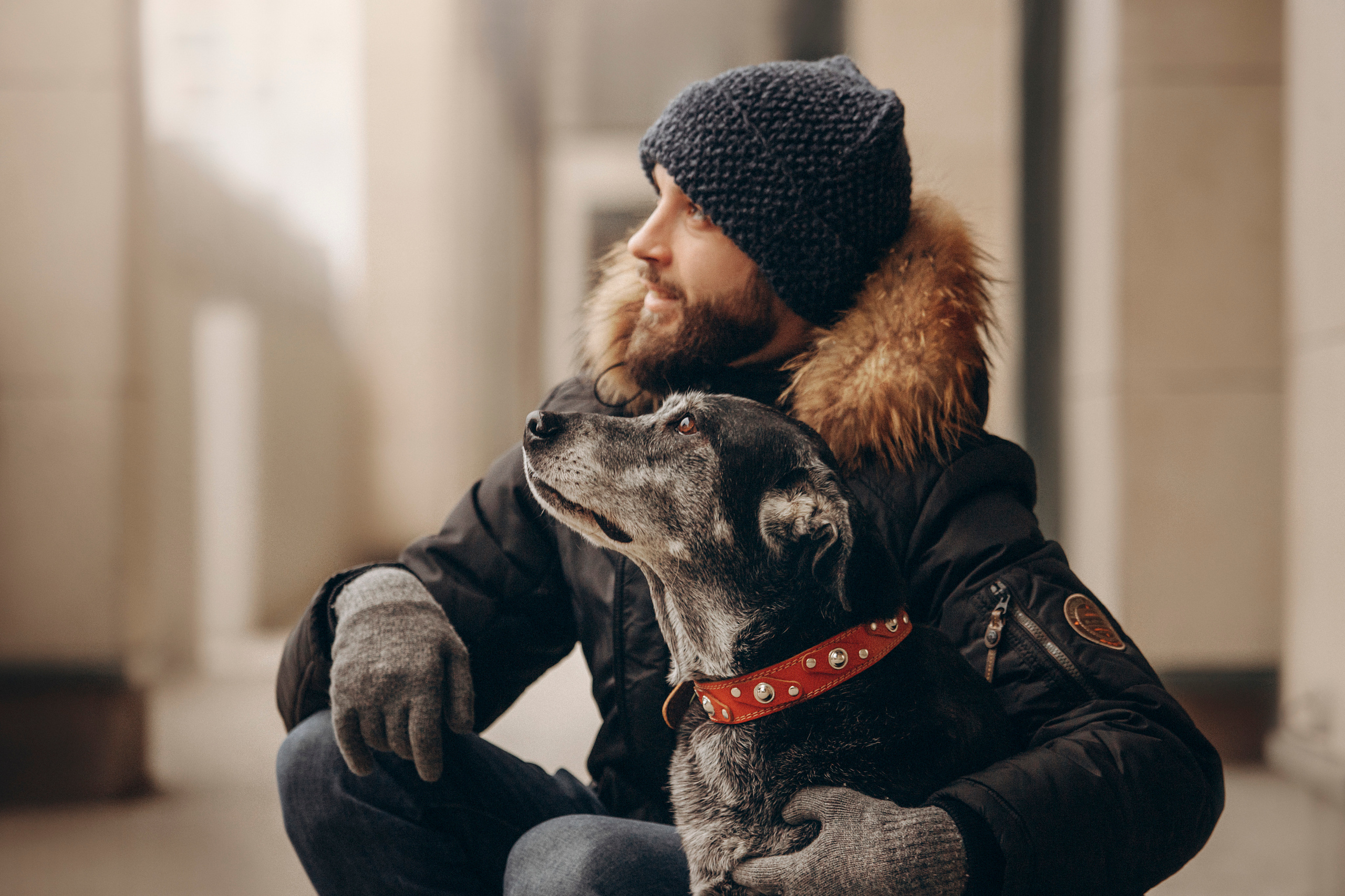 Ангус и его семья. Фотограф — Анималист | Санкт-Петербург