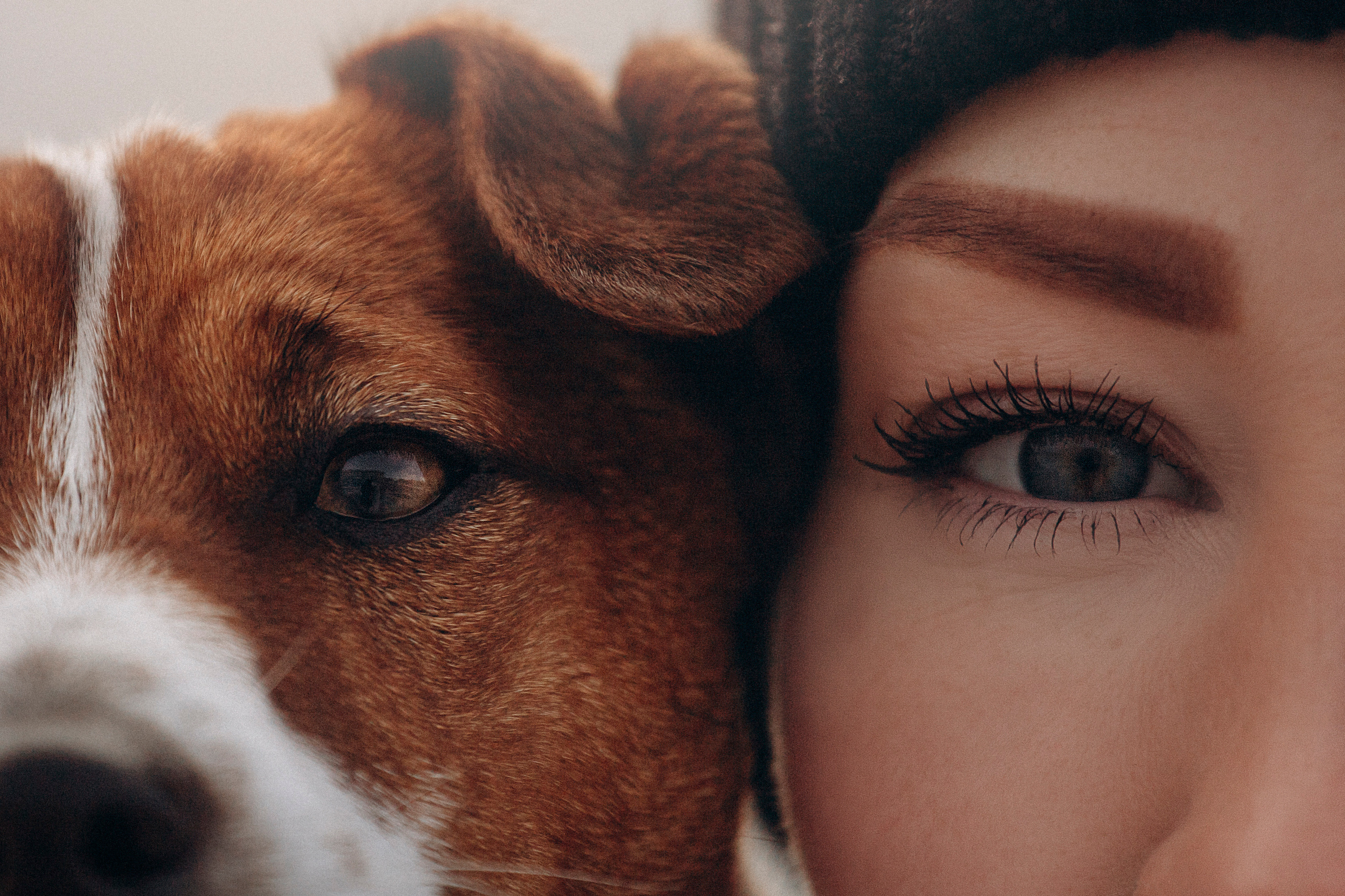 Даша и Бакс. Фотограф — Анималист | Санкт-Петербург