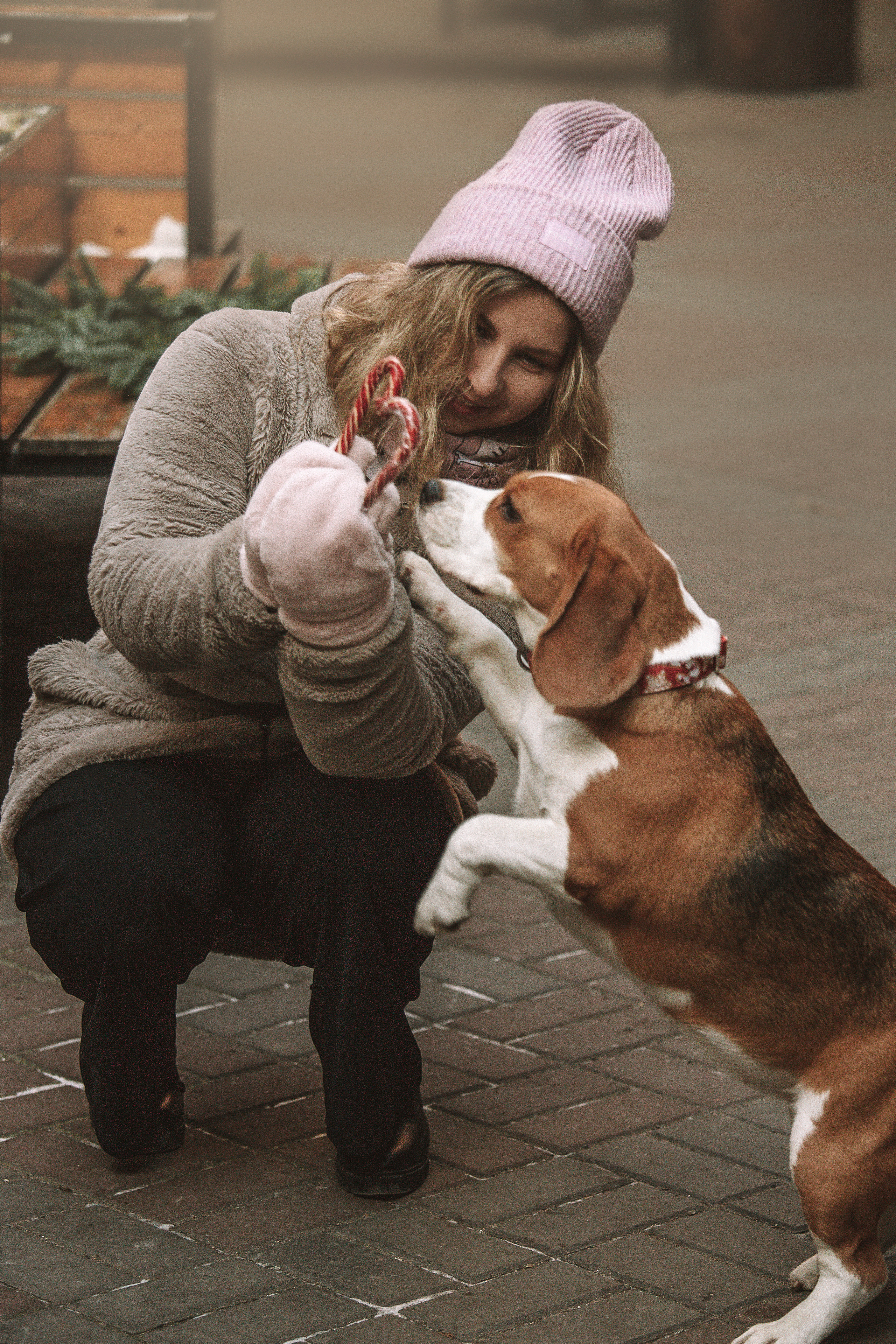 Полина и Бетти. Фотограф — Анималист | Санкт-Петербург