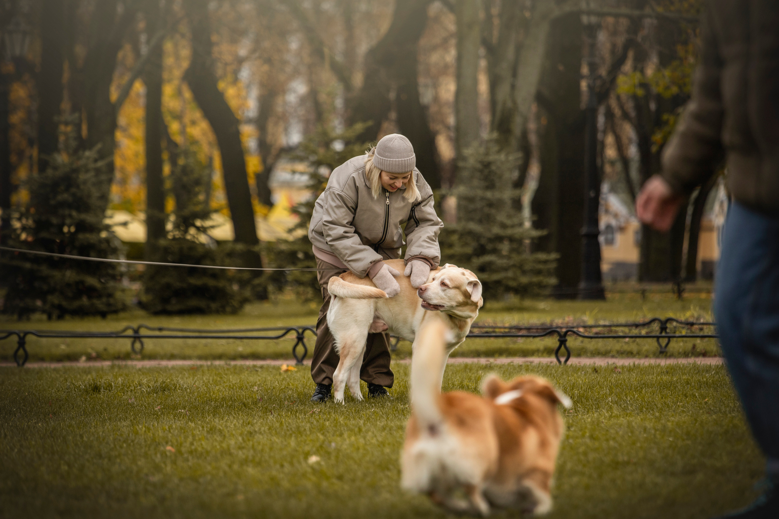 Барни и его семья. Фотограф — Анималист | Санкт-Петербург
