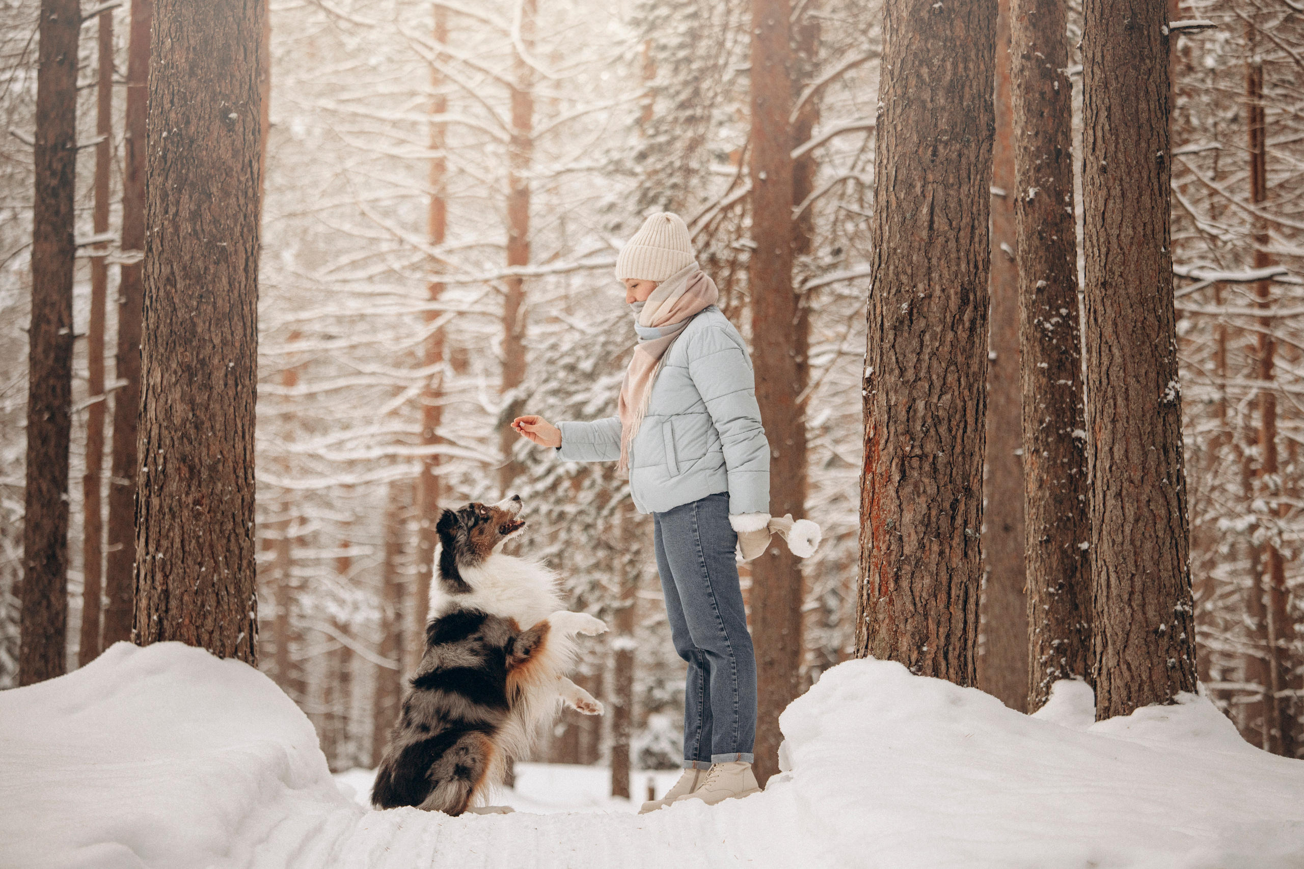 Айк и его семья. Фотограф — Анималист | Санкт-Петербург