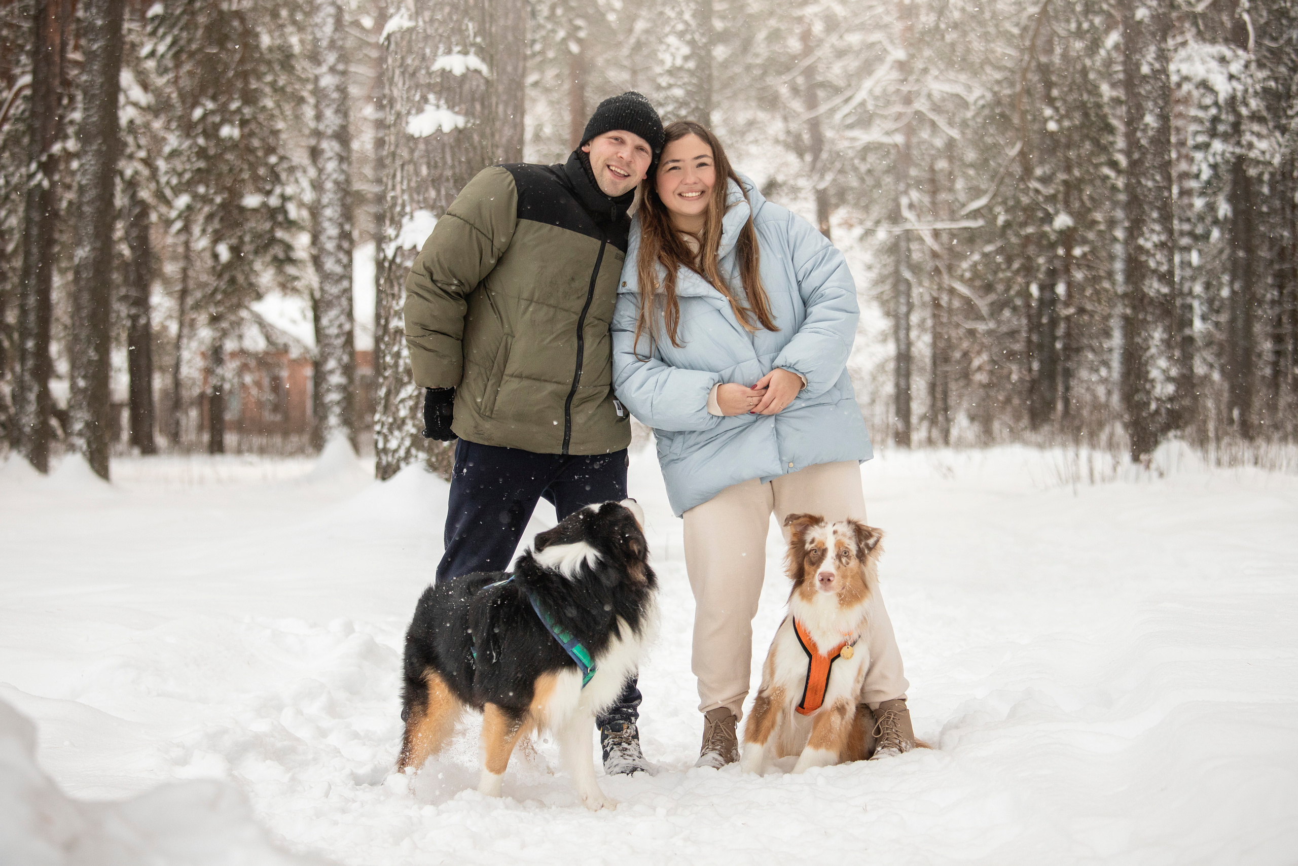 Делик, Скай и их семья. Фотограф — Анималист | Санкт-Петербург