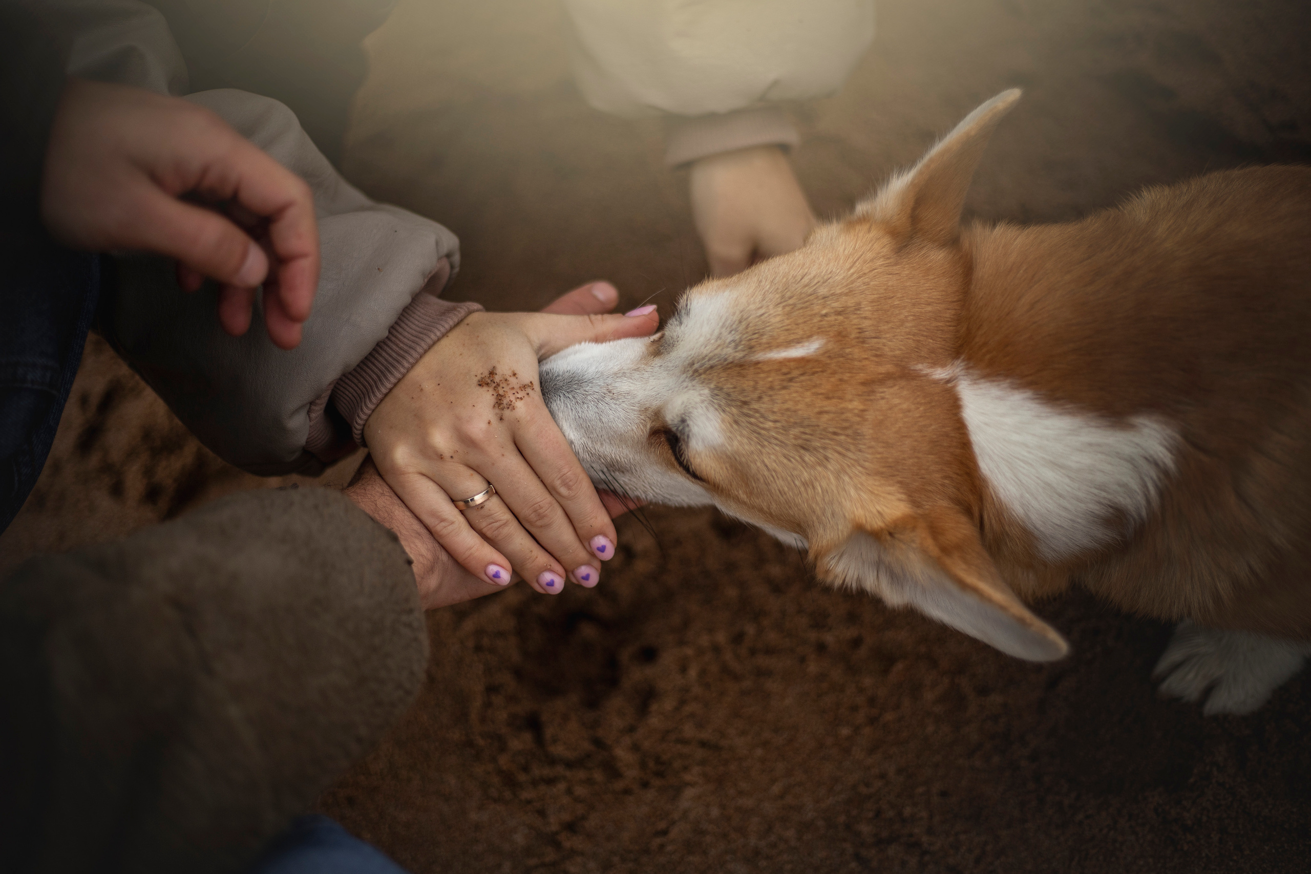 Барни и его семья. Фотограф — Анималист | Санкт-Петербург