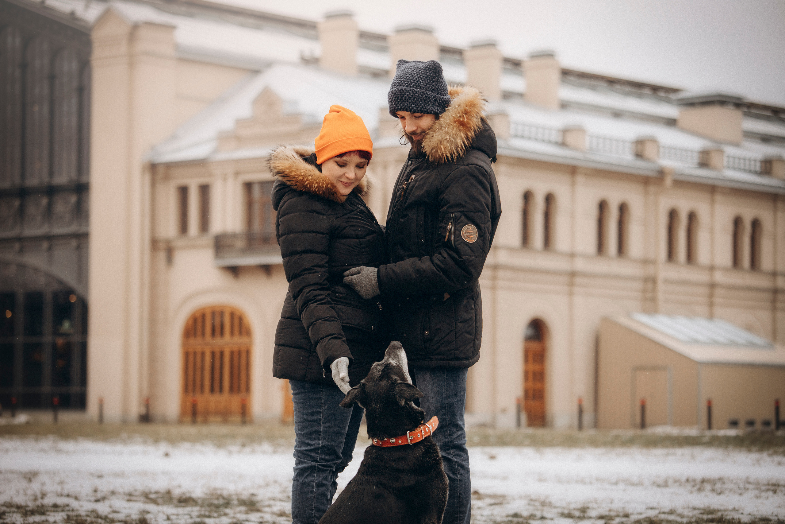Ангус и его семья. Фотограф — Анималист | Санкт-Петербург