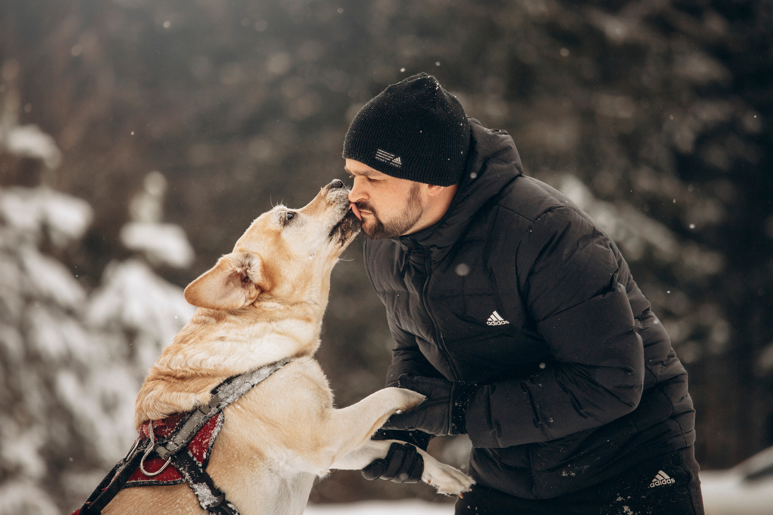 Марго, Степа и их семья. Фотограф — Анималист | Санкт-Петербург