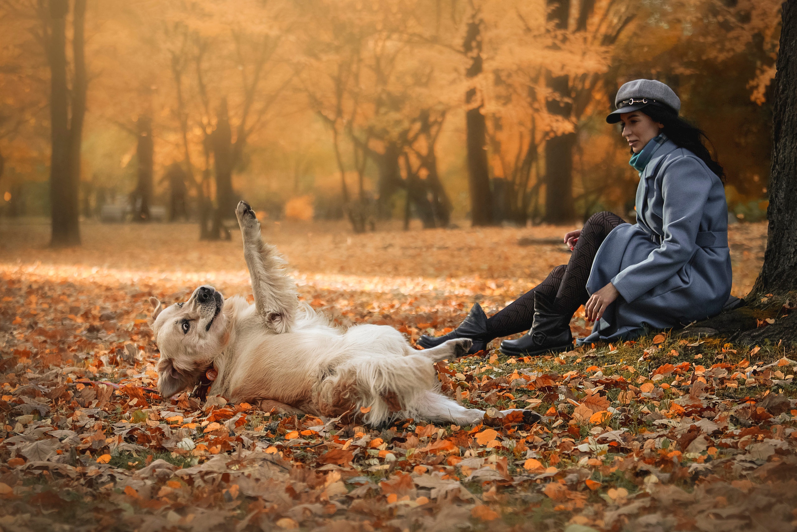 Лёвушка и его семья. Фотограф — Анималист | Санкт-Петербург