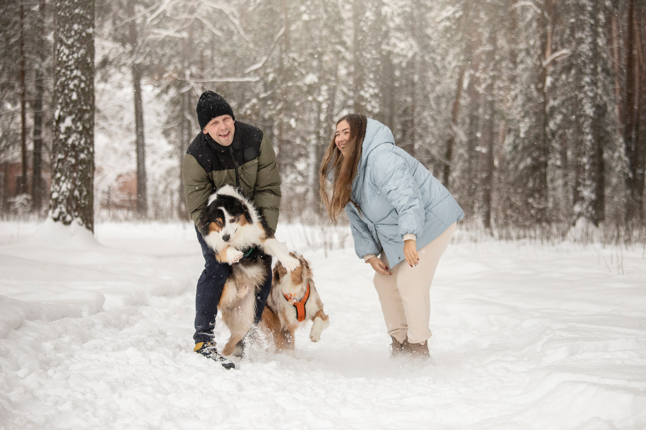 Делик, Скай и их семья. Фотограф — Анималист | Санкт-Петербург