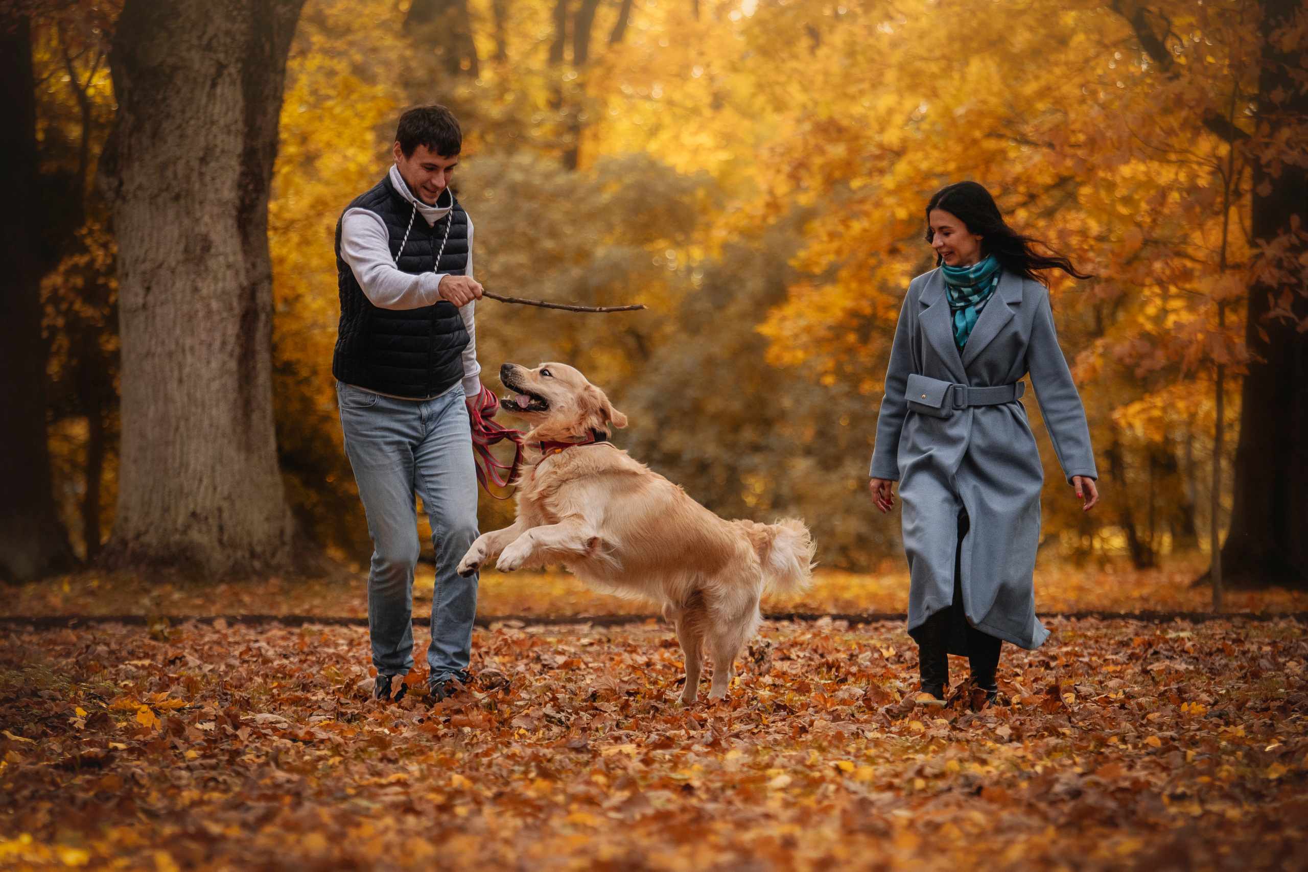Лёвушка и его семья. Фотограф — Анималист | Санкт-Петербург